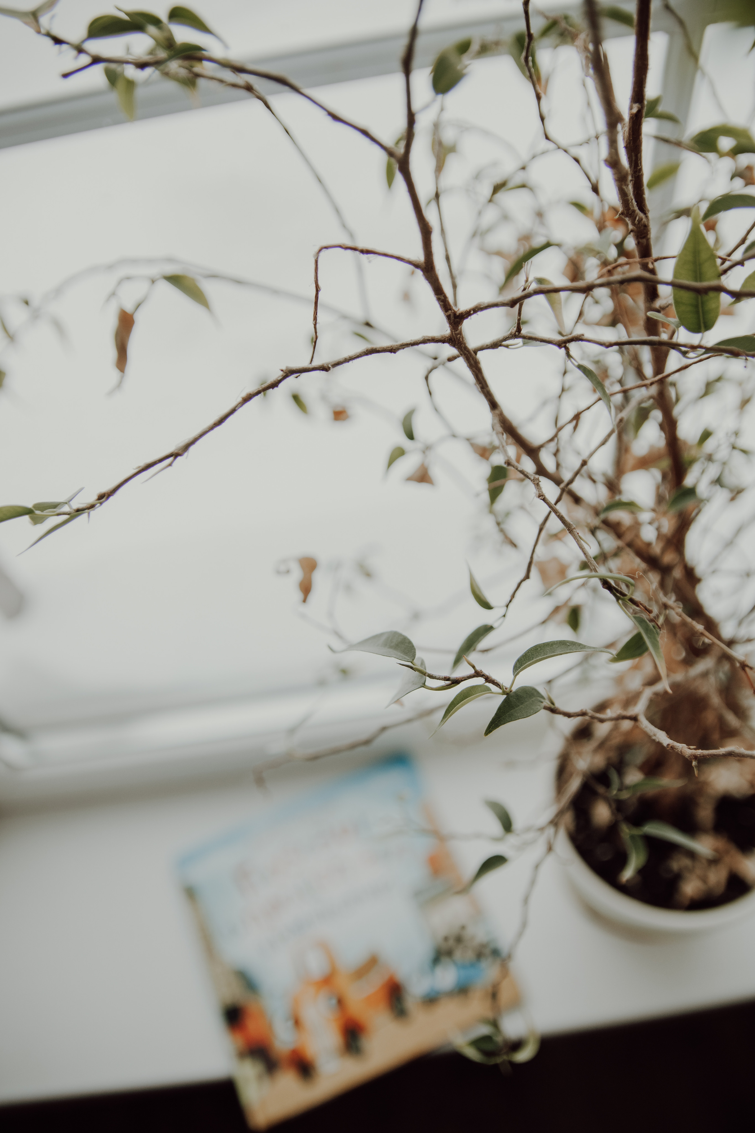 В доме с лестницей. Семейный фотограф в Москве