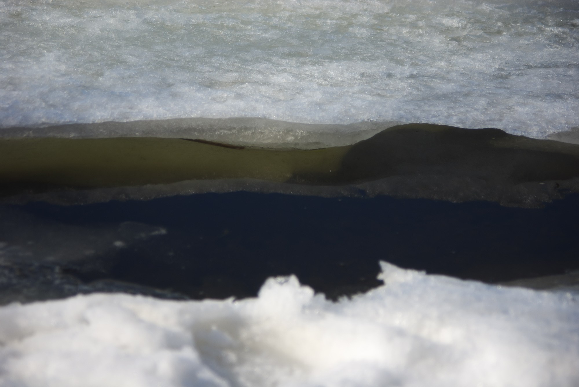 Фотограф Константин Ясинский