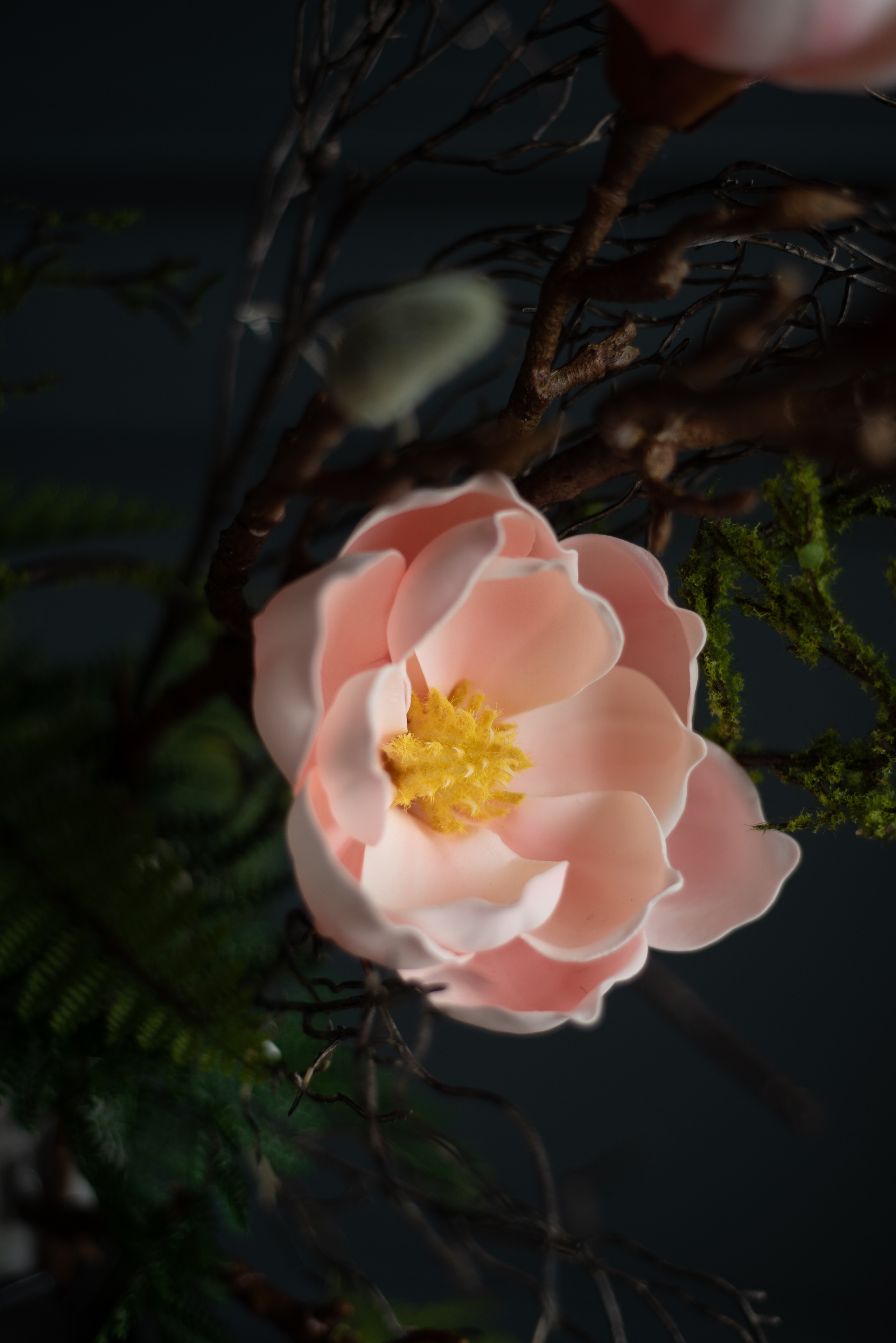 Фотосессия в студии Москва. Фотограф в Москве и Люберцах, Валя Шикулина