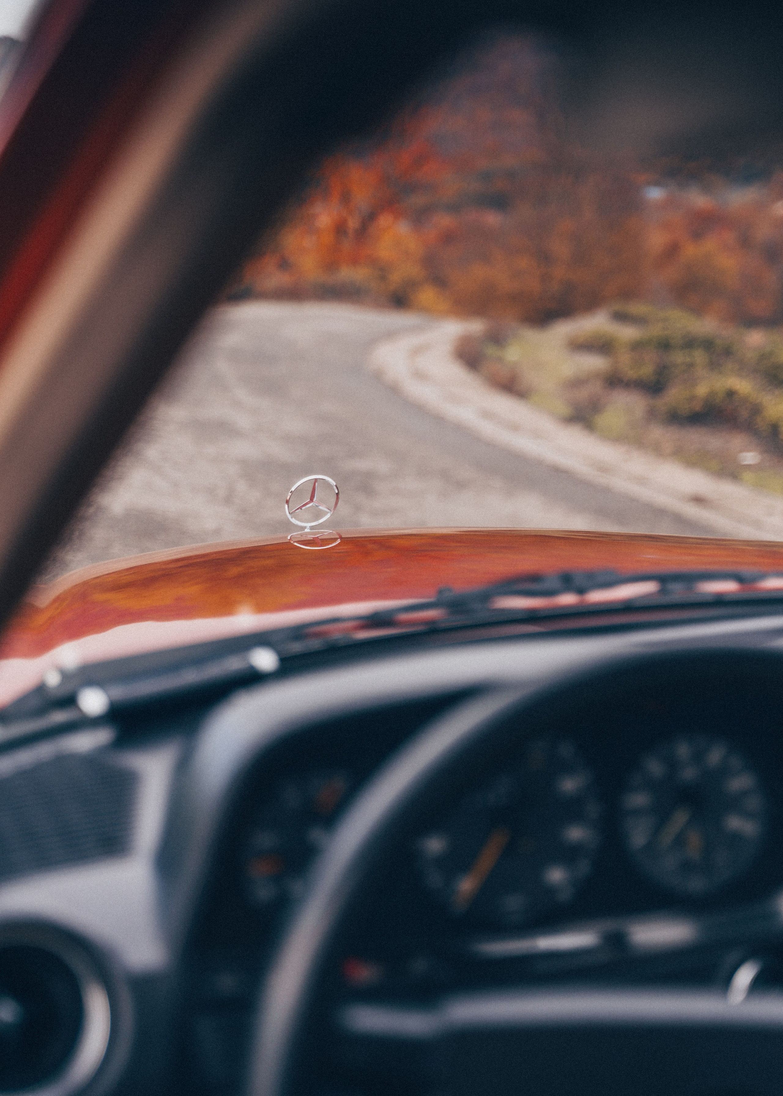 Retro Mercedes in Autumn. Автомобильный и просто лучший фотограф в Сочи Nikita No Name