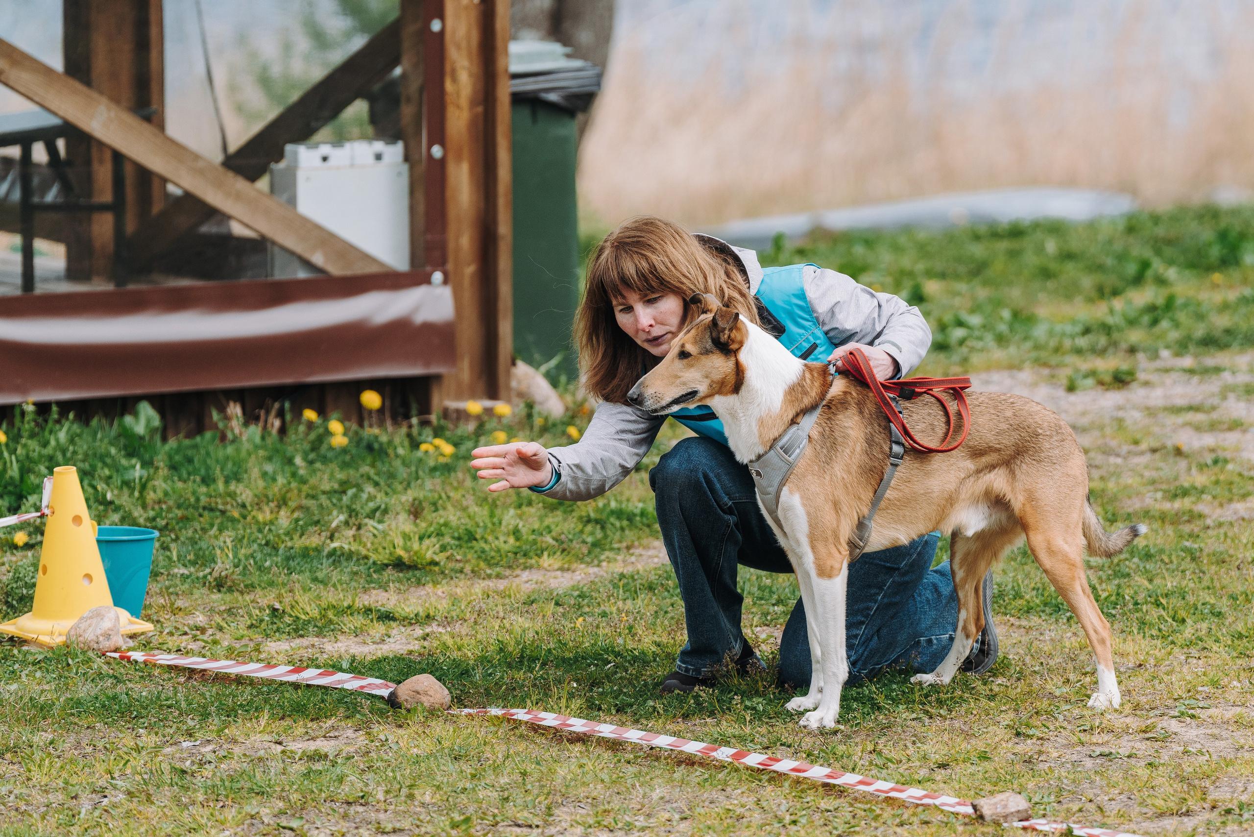 Соревнования по ноузворку в Лосево. Фотограф анималист в Спб недорого Олеся Майорова