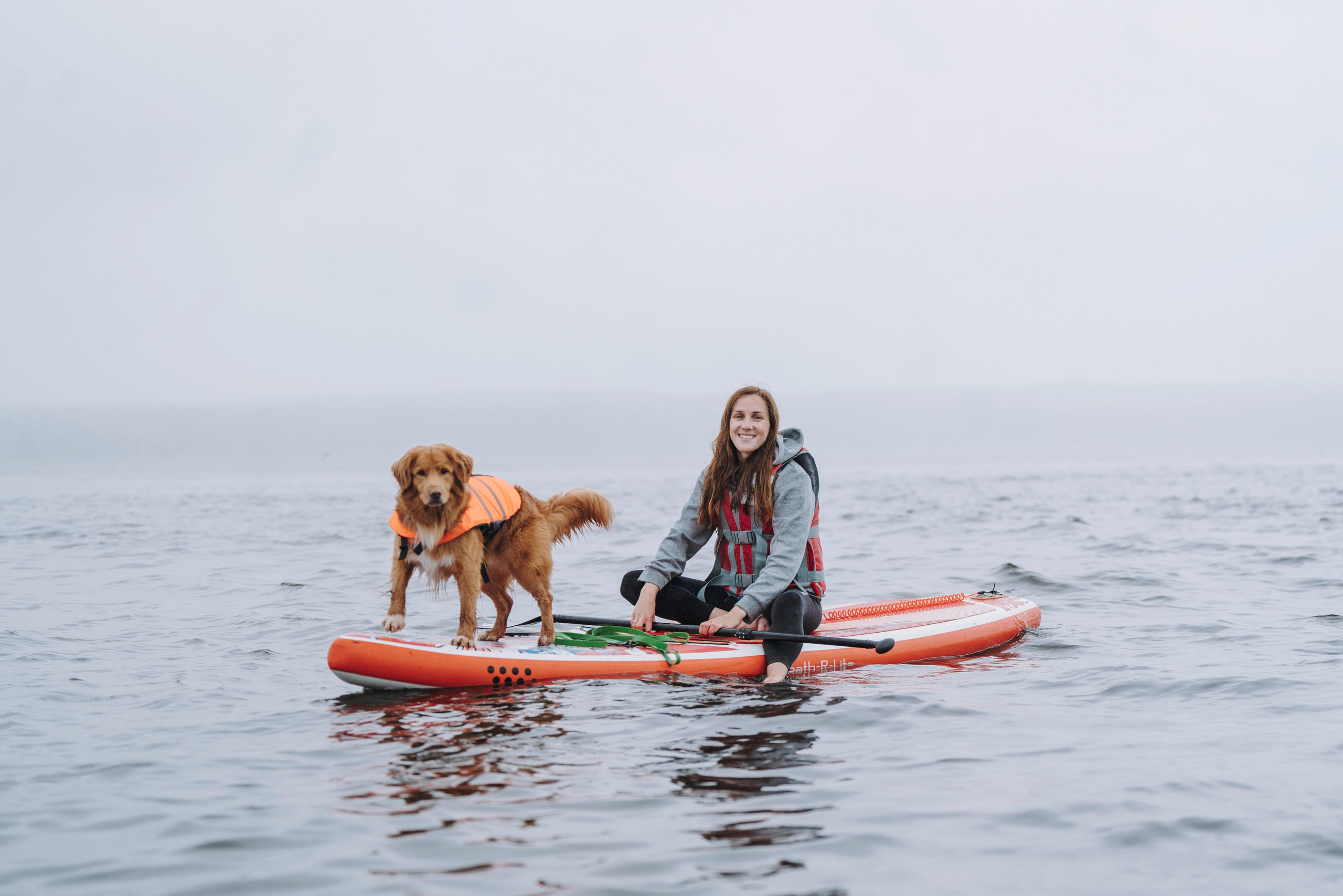 Катание на сапах с собаками. Фотограф анималист в Спб недорого Олеся Майорова