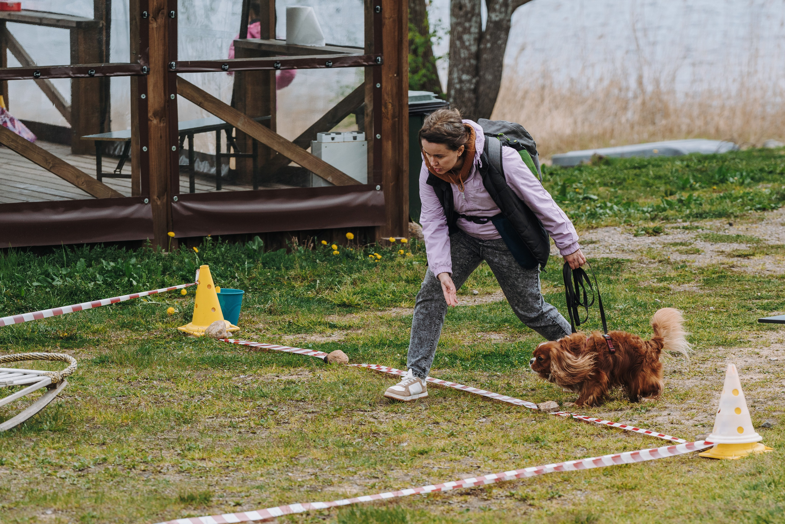 Соревнования по ноузворку в Лосево. Фотограф анималист в Спб недорого Олеся Майорова