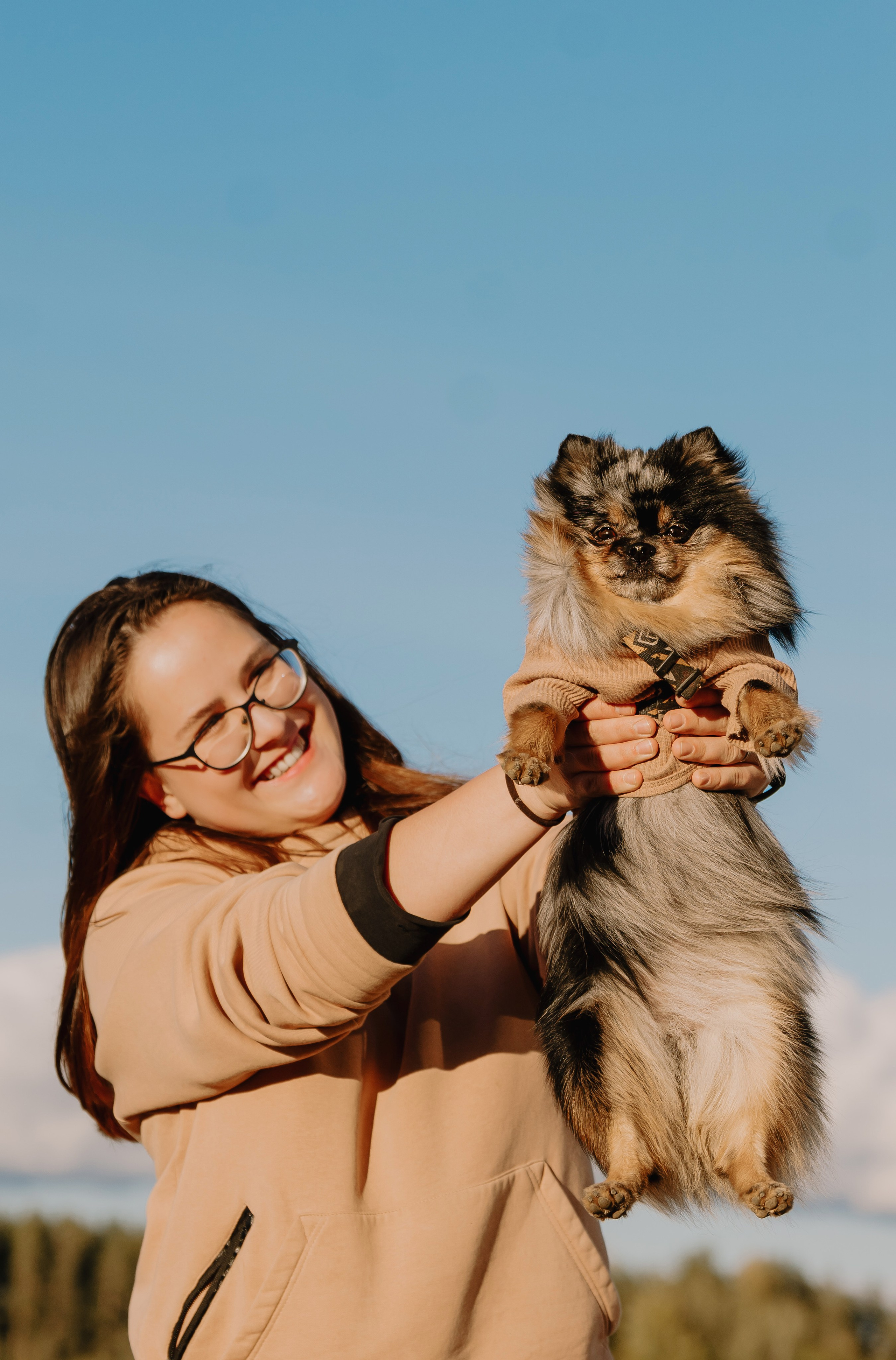Семейная фотосессия с двумя собаками на закате. Фотограф анималист в Спб недорого Олеся Майорова
