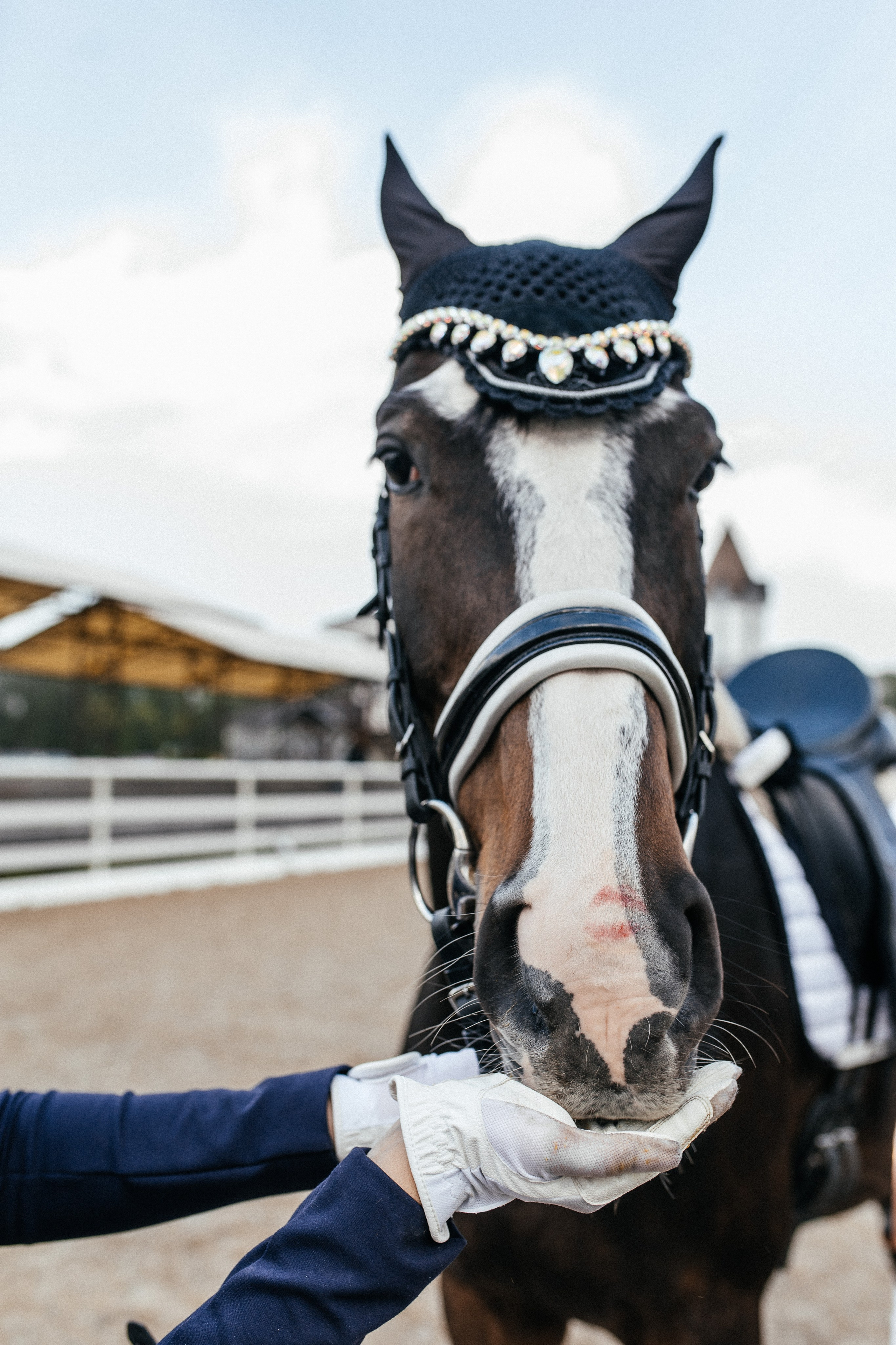 Конная прогулка. Тома и Кеша. Профессиональный фотограф, Москва |Видное Елена Елизарова
