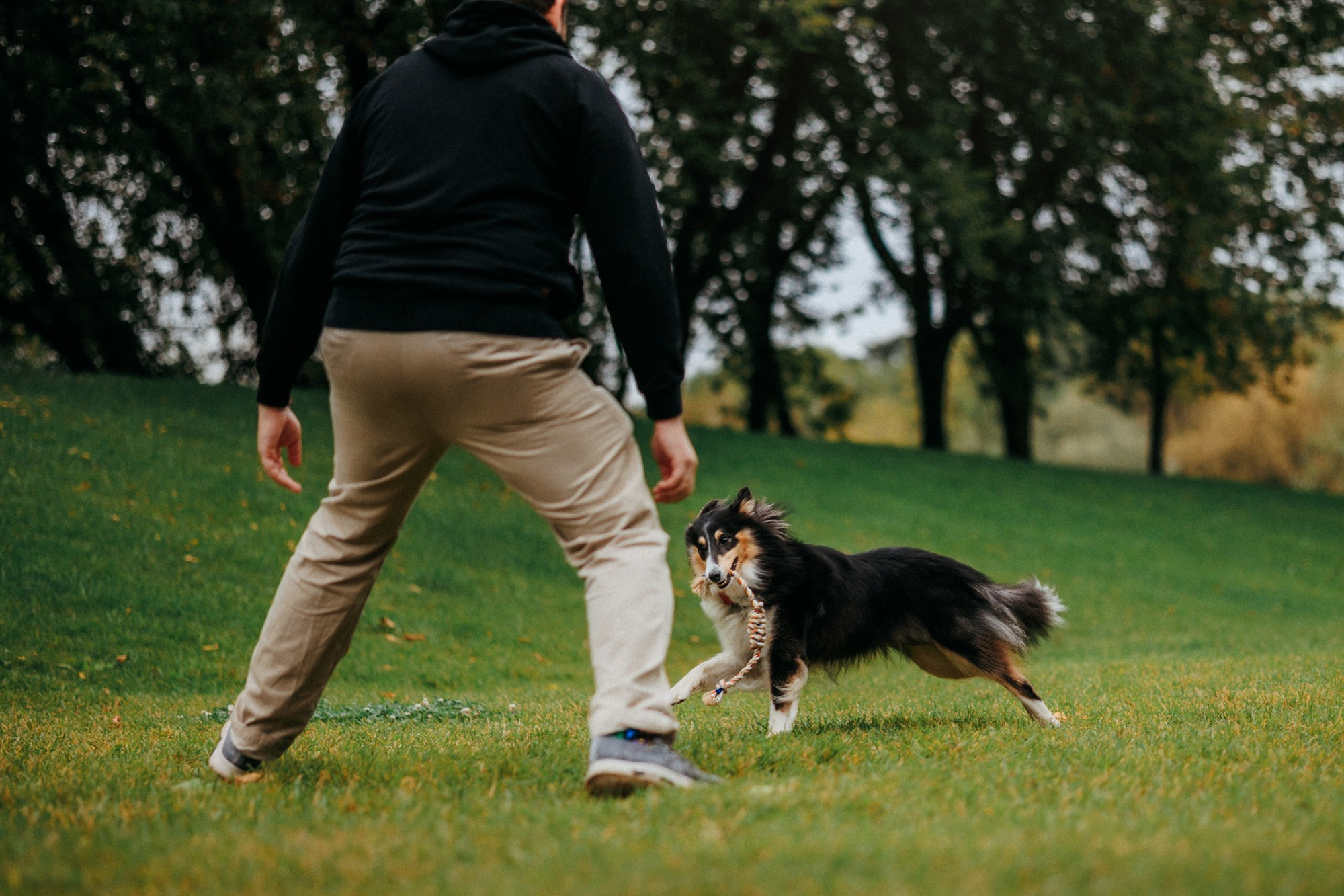 Федор, Саша и Груша. Фотограф-анималист Елена Радченко, Москва