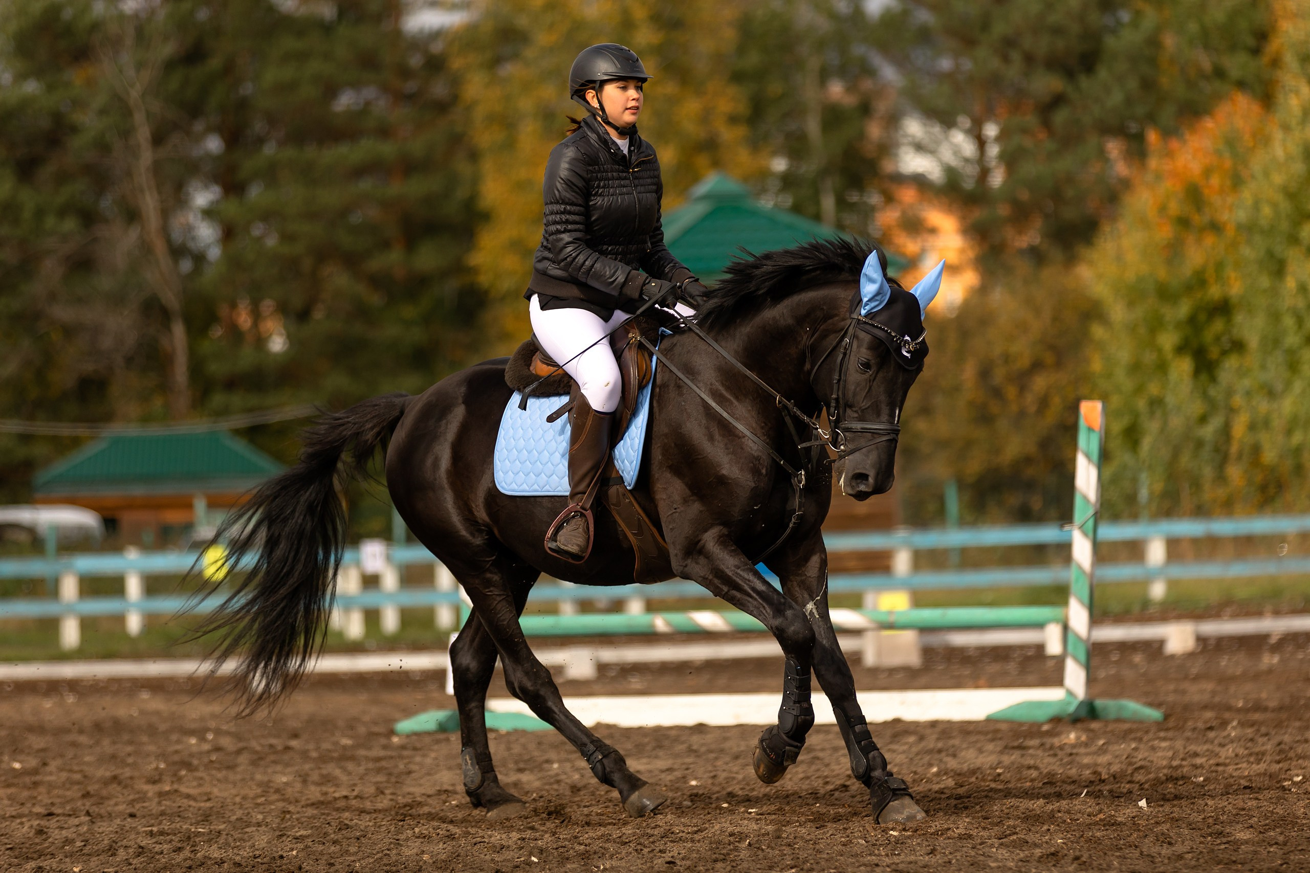 Соревнования по конному спорту. Конный фотограф Валынкина Лера