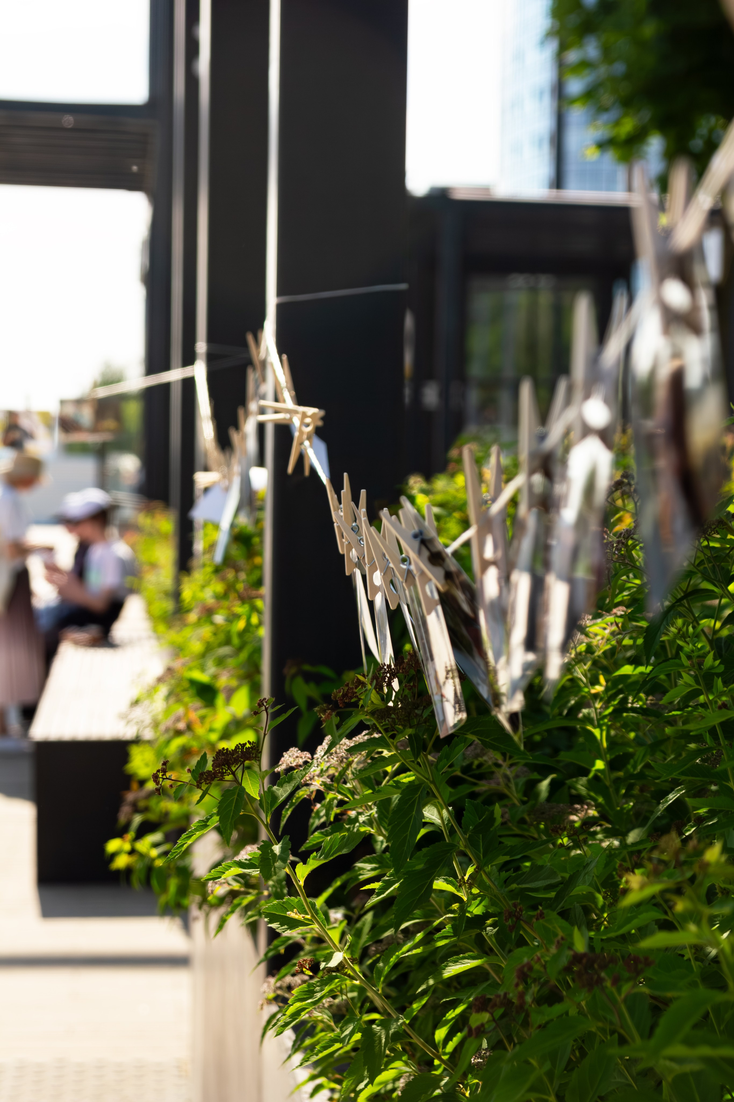 Фестивали. Анастасия фото/Ижевск