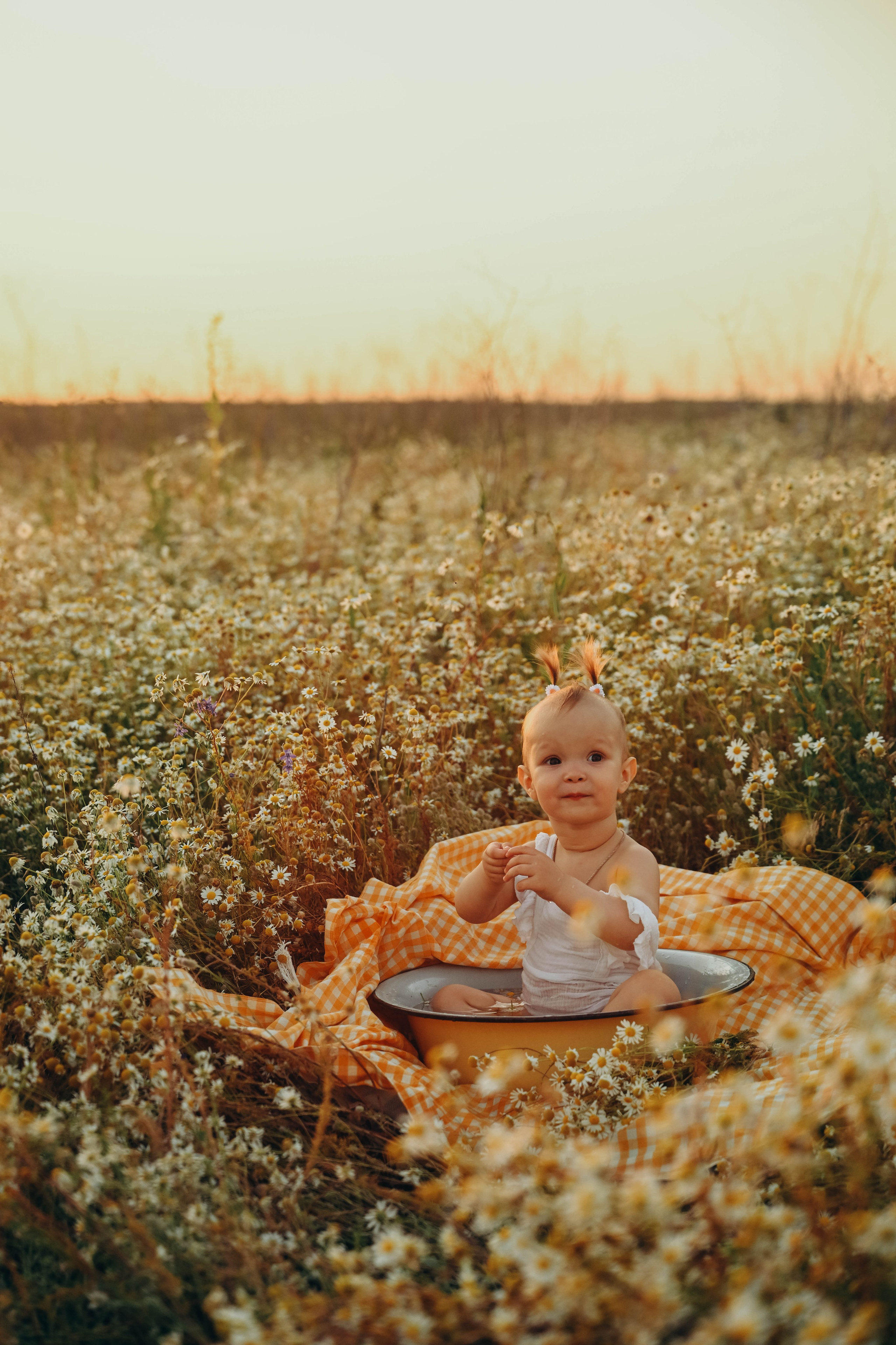 Ромашковое поле. Семейный фотограф в Москве Люберцах Ирина Вронская