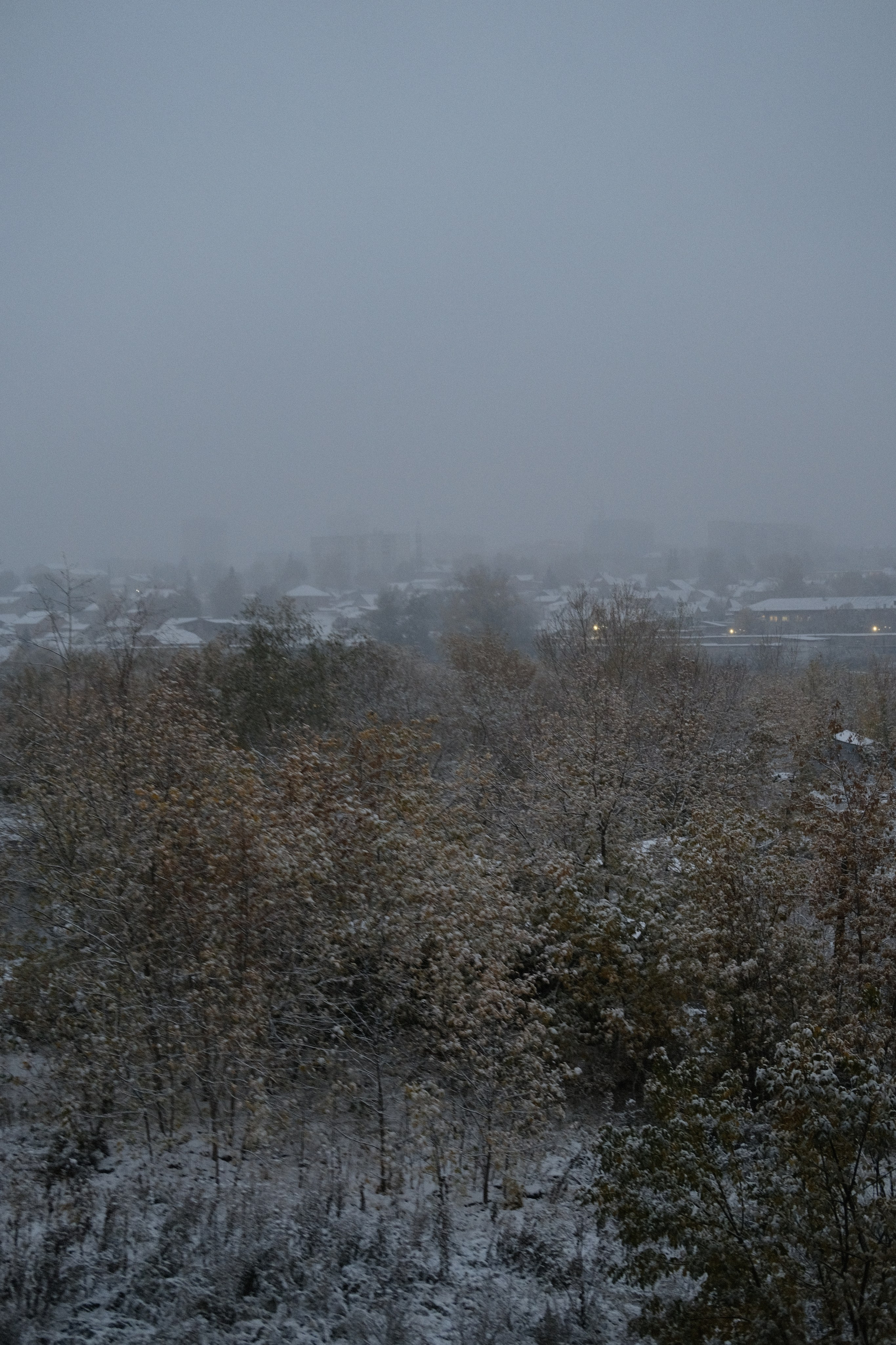 Наблюдения. Семейный фотограф в Новосибирске Артём Кузнецов