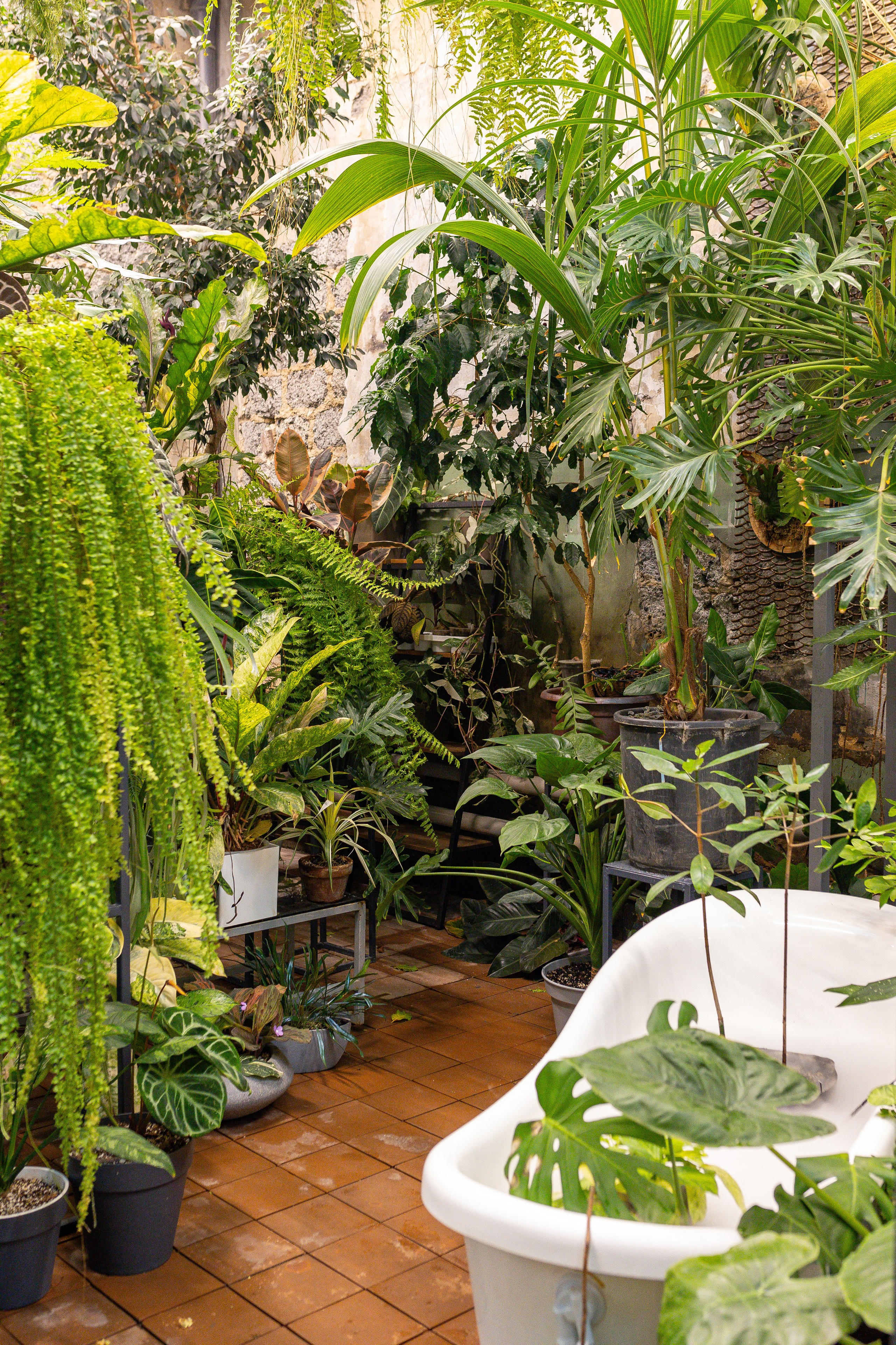 Green rare июнь 2025. Александра Куликова фотограф, Москва