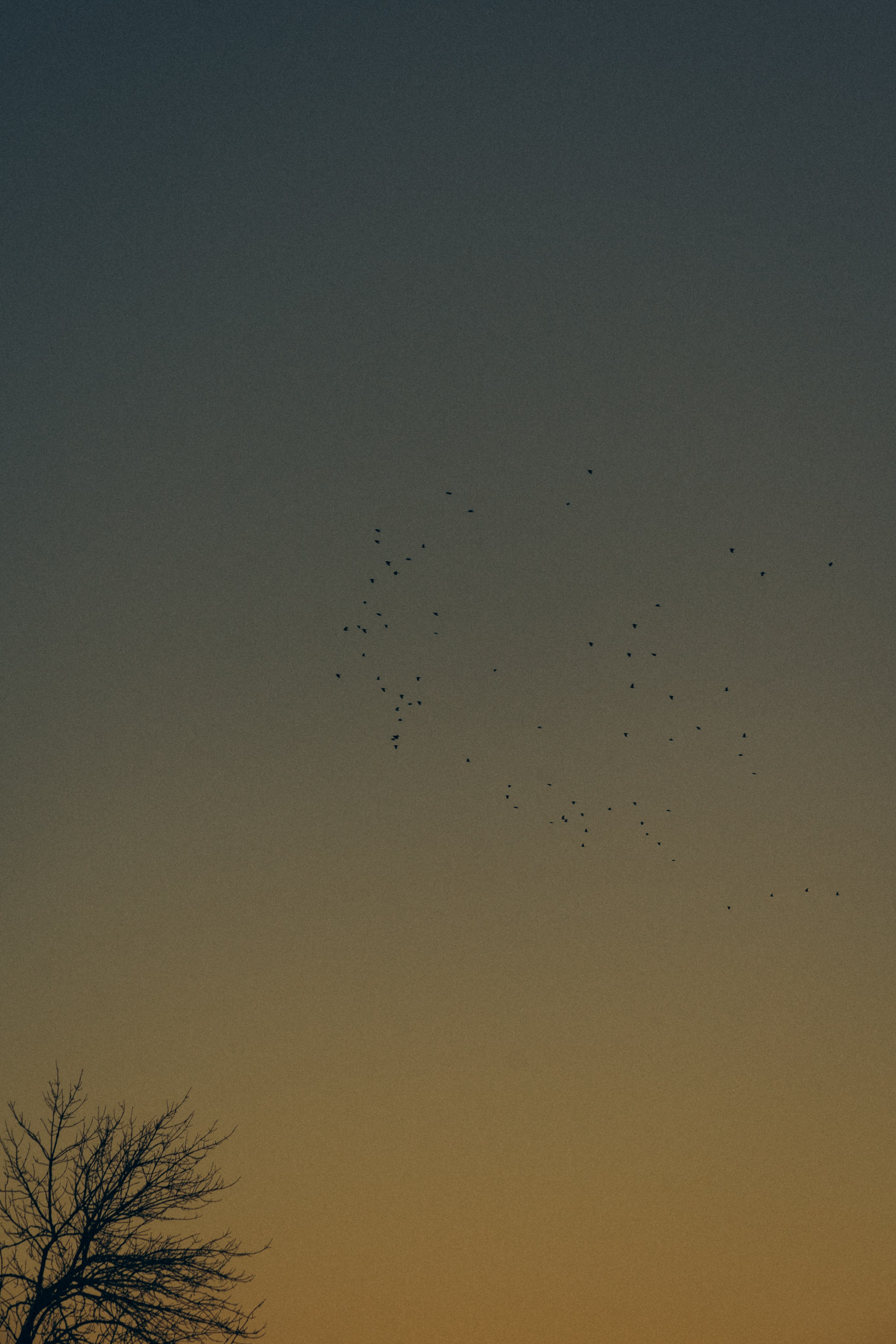 Фотосессия Ейск. Семейный фотограф в городе Ейск — Михайлова Татьяна