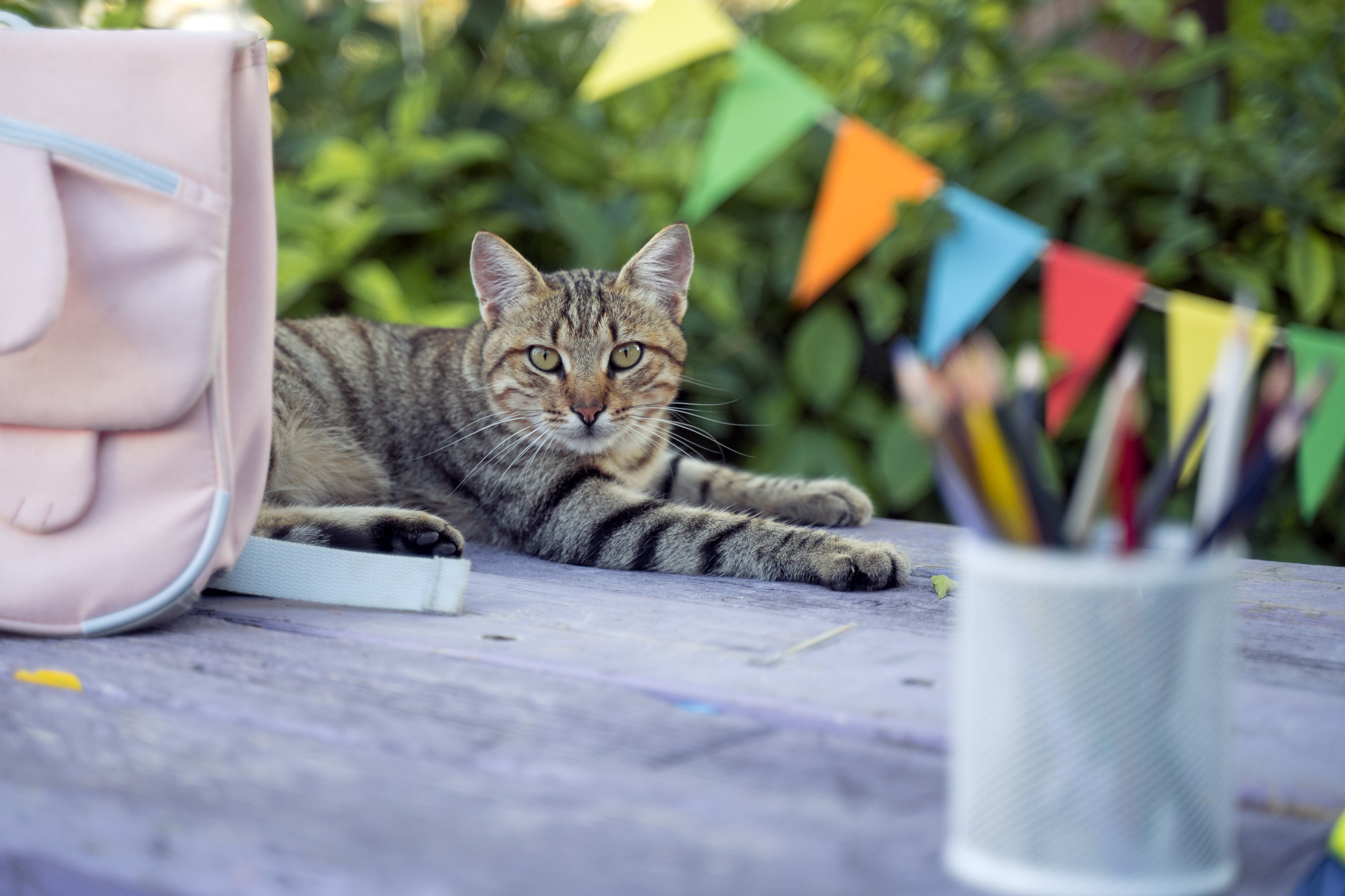 Back-to-School Photo Project. Family Photographer Ksenia Kos