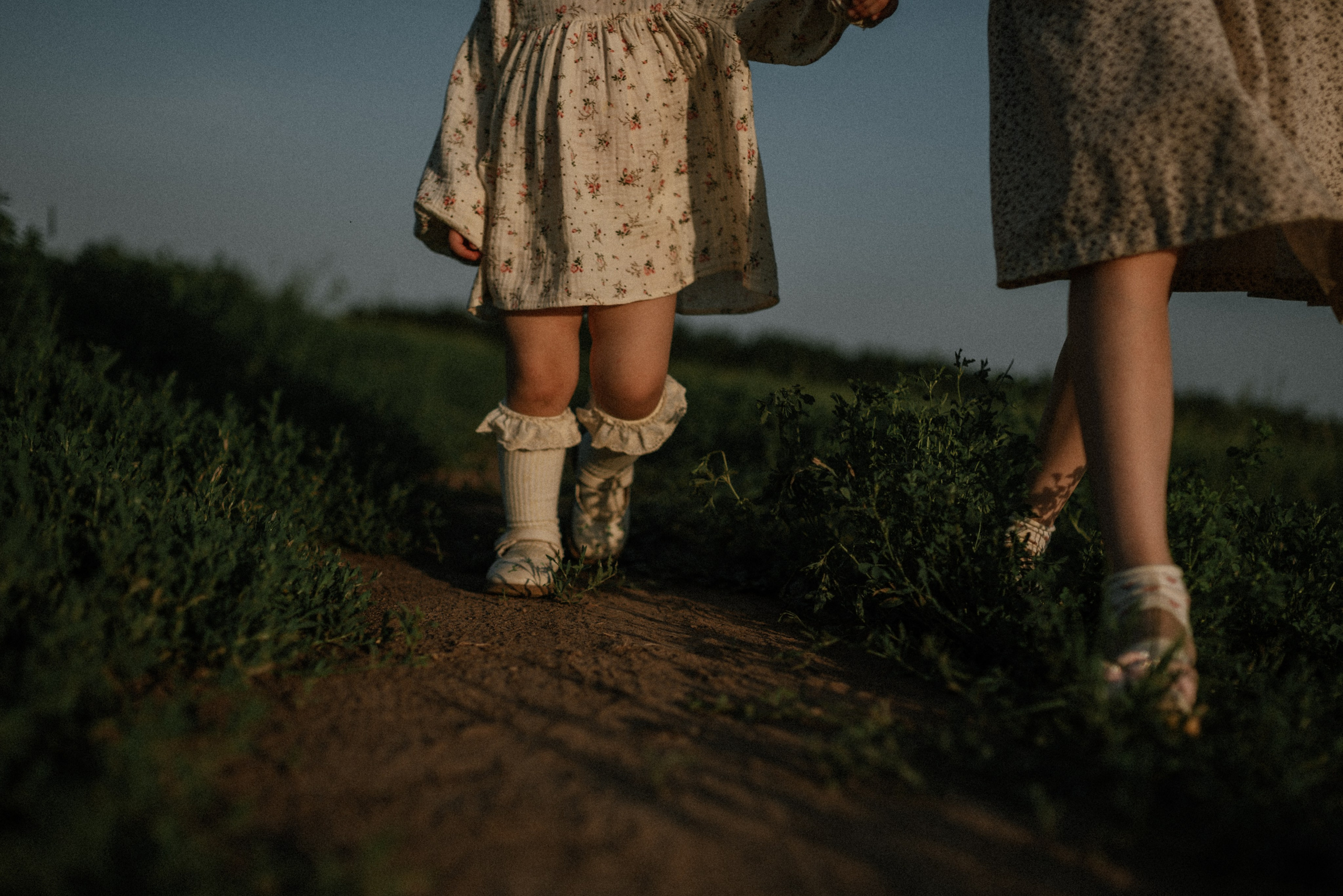 Ида, Мира и ромашки. Свадебный и семейный фотограф Кожевникова Лариса