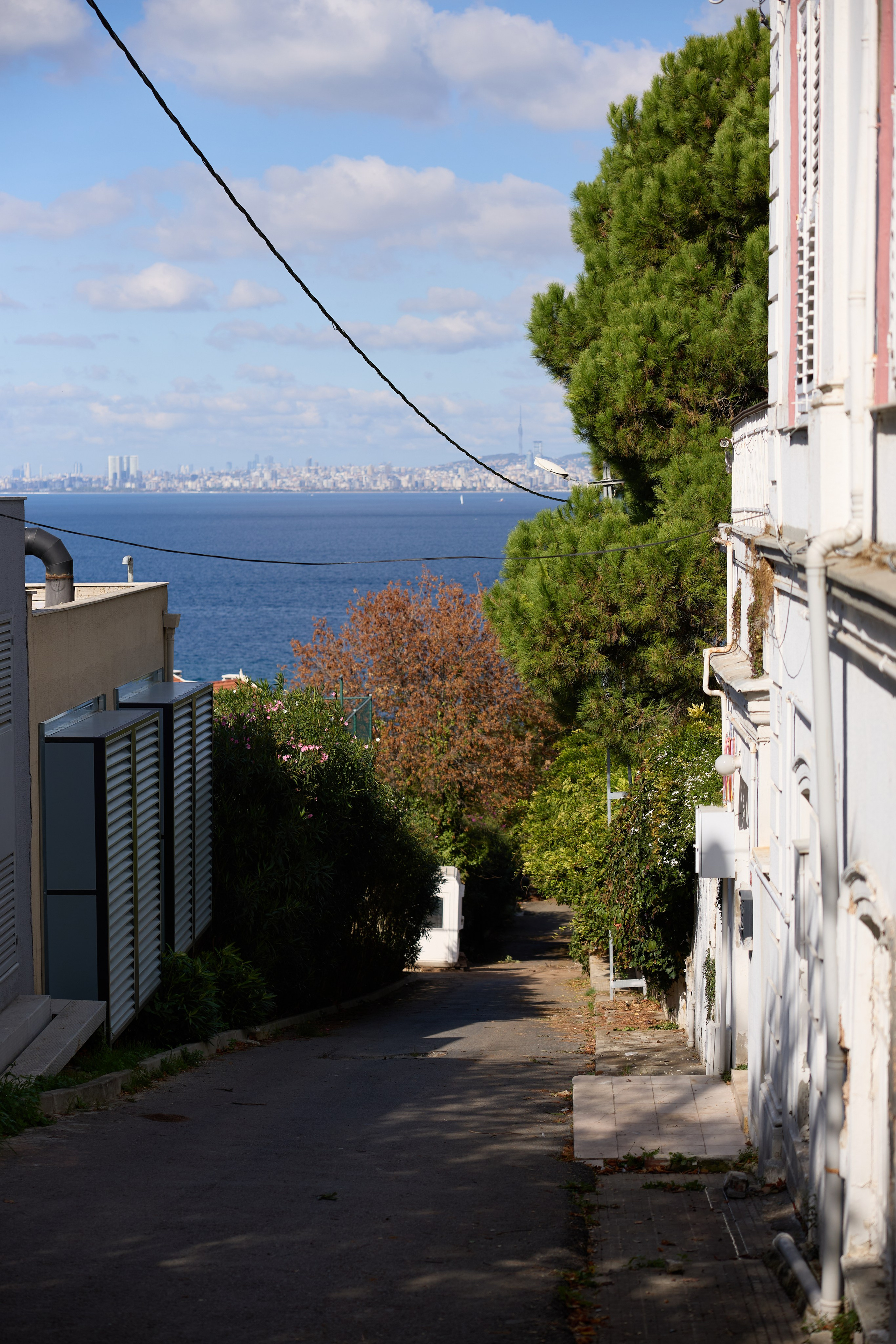 Стамбул 24. Фотограф Москва, Дима Пеллер