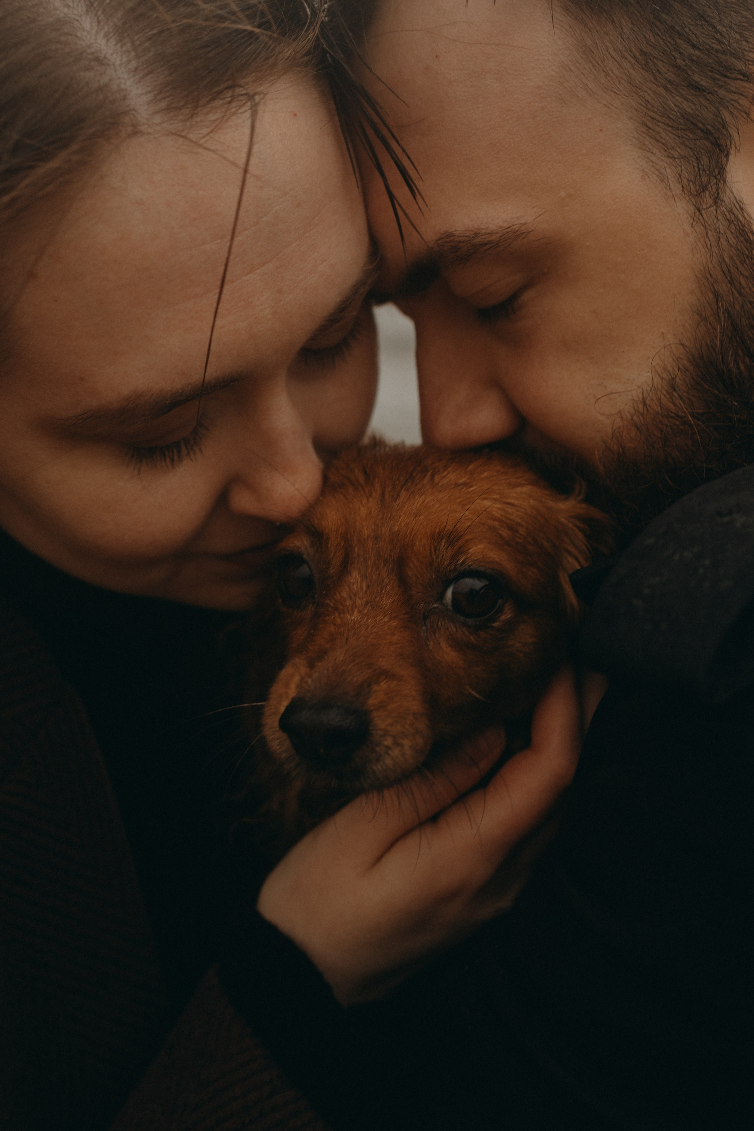 Жу и ее семья. Фотограф — Анималист | Санкт-Петербург