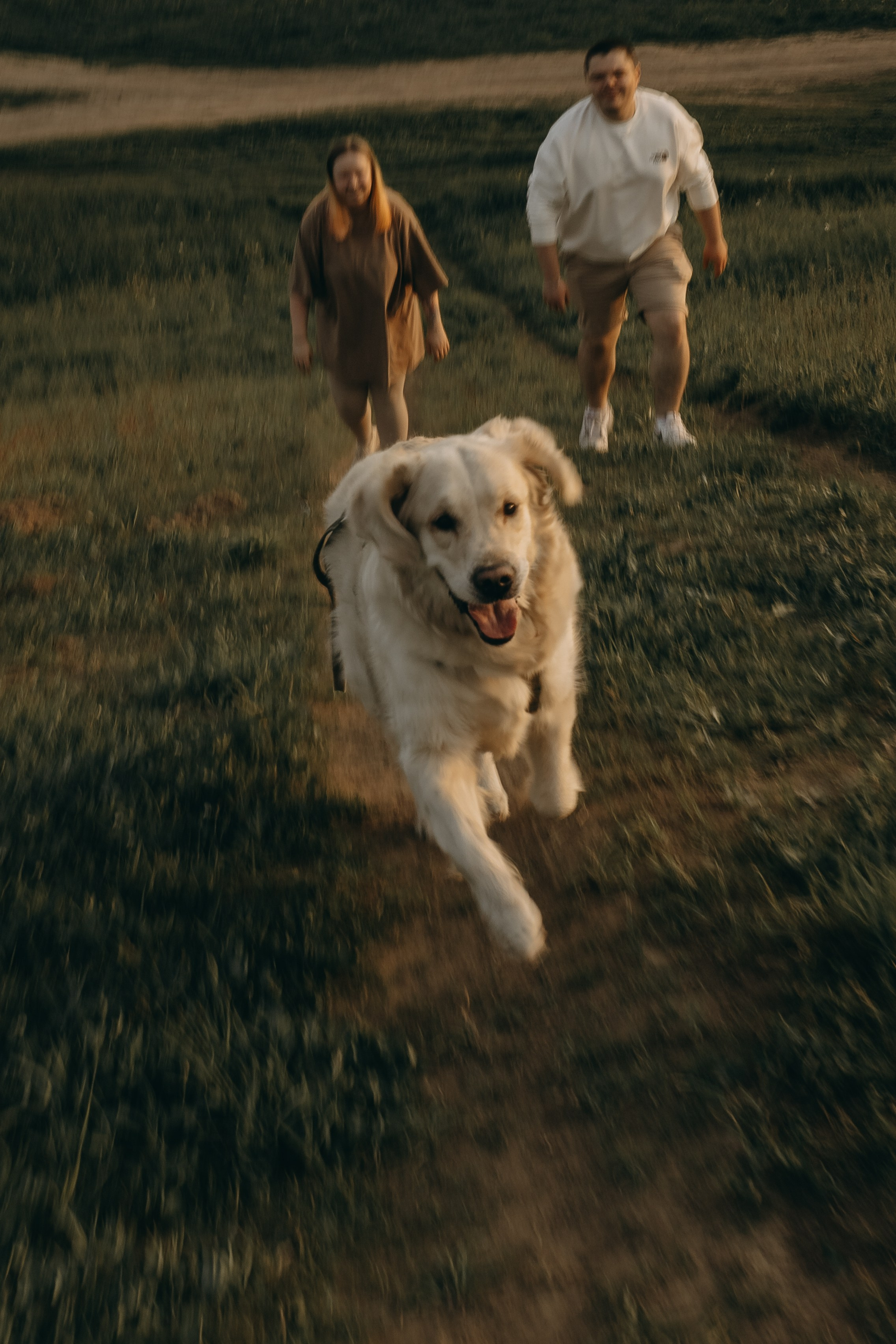 Милка и ребята. Фотограф — Анималист | Санкт-Петербург