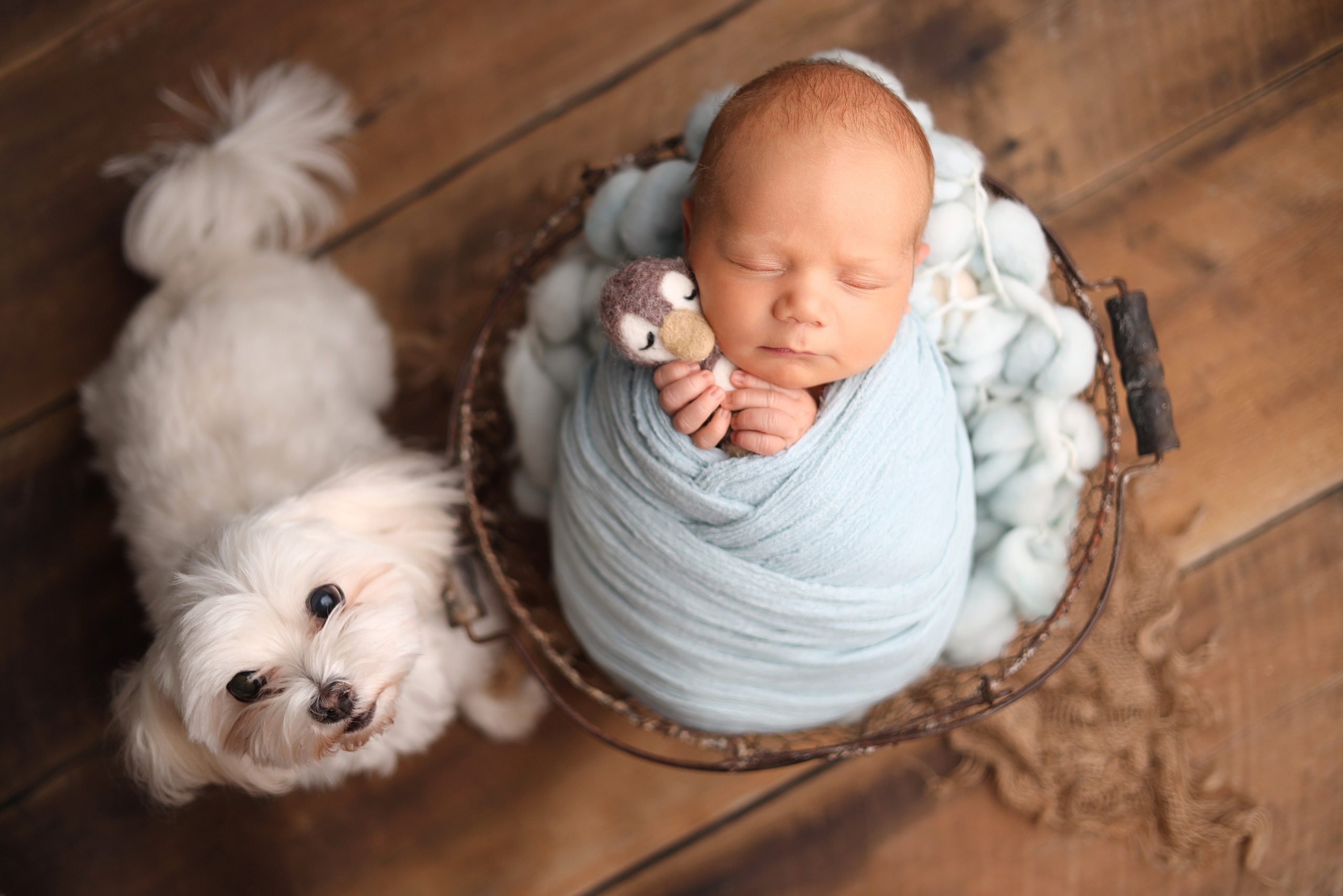 Ньюборн съемка Мишеньки. Ньюборн фотограф в Бутово Столярова Светлана. Фотограф новорожденных Москва. Ньюборн фотограф Москва