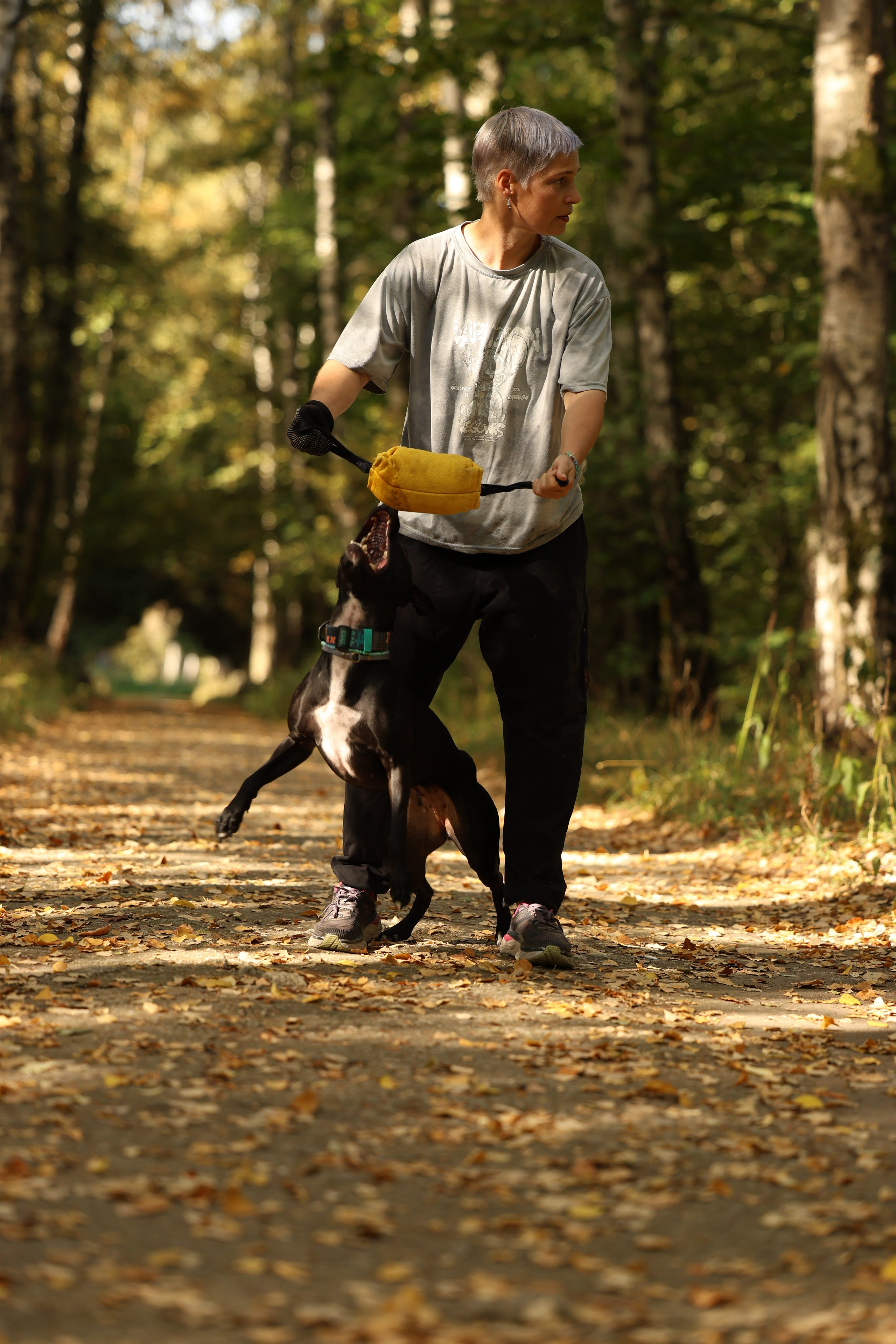 Алена и Бора. Виктория Михайловская. Фотограф-анималист. Москва
