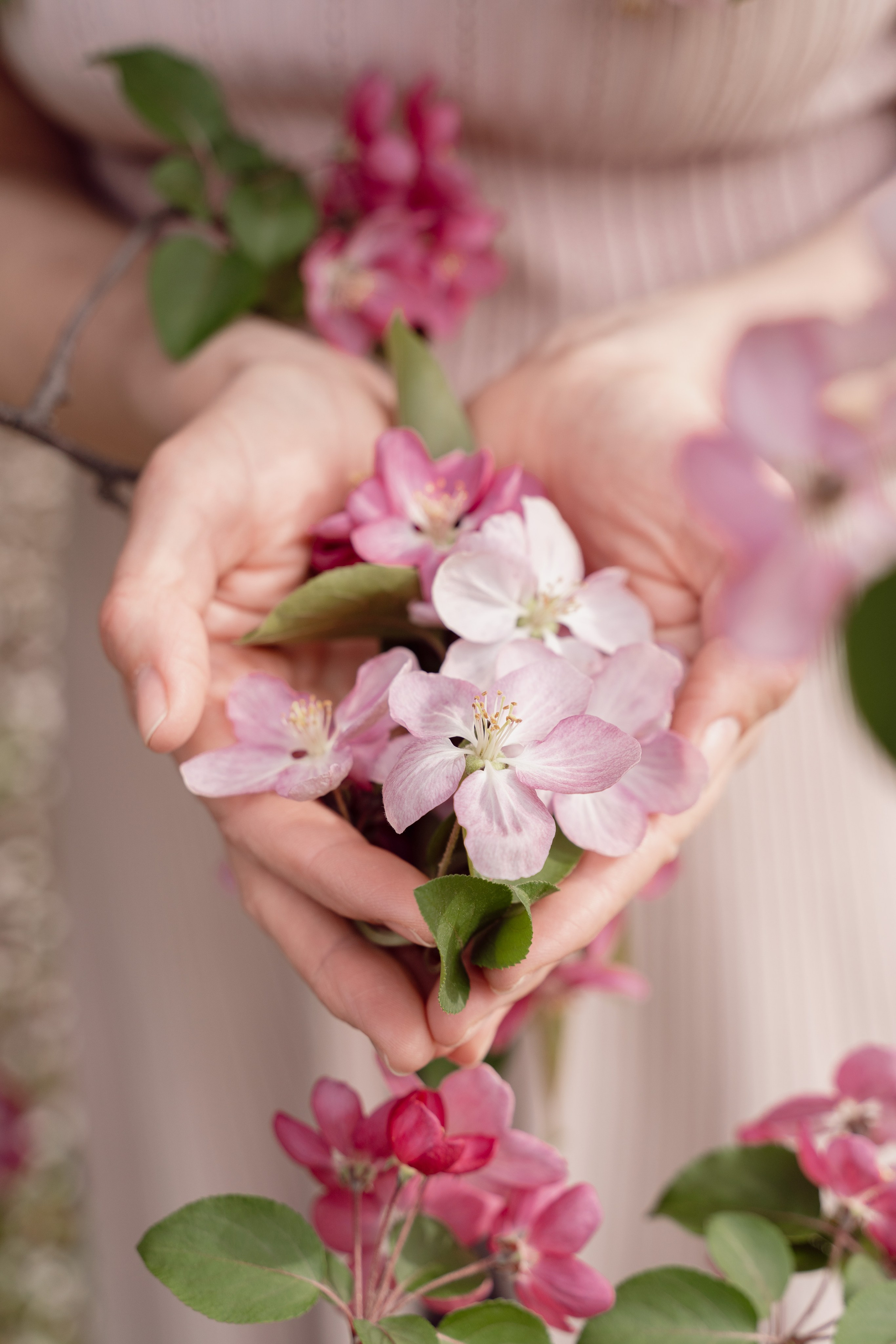 Фотосессия в яблонях. Фотограф Наталья Соколовская. Новосибирск