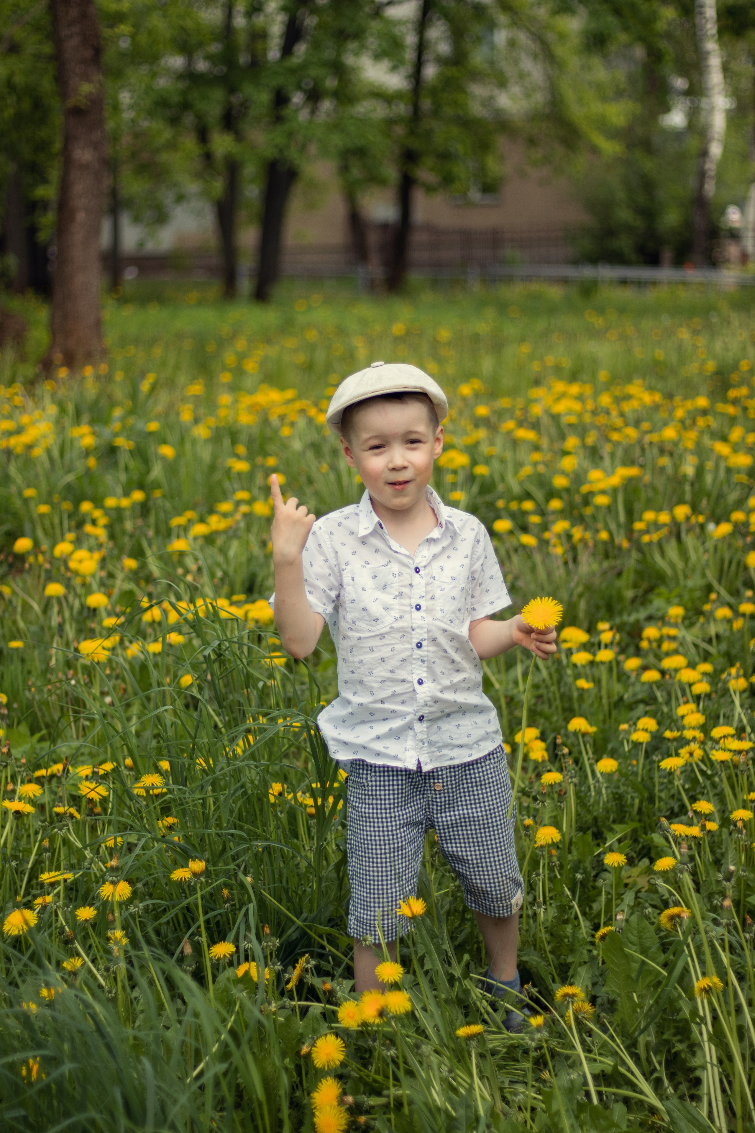 Одуванчиковое настроение