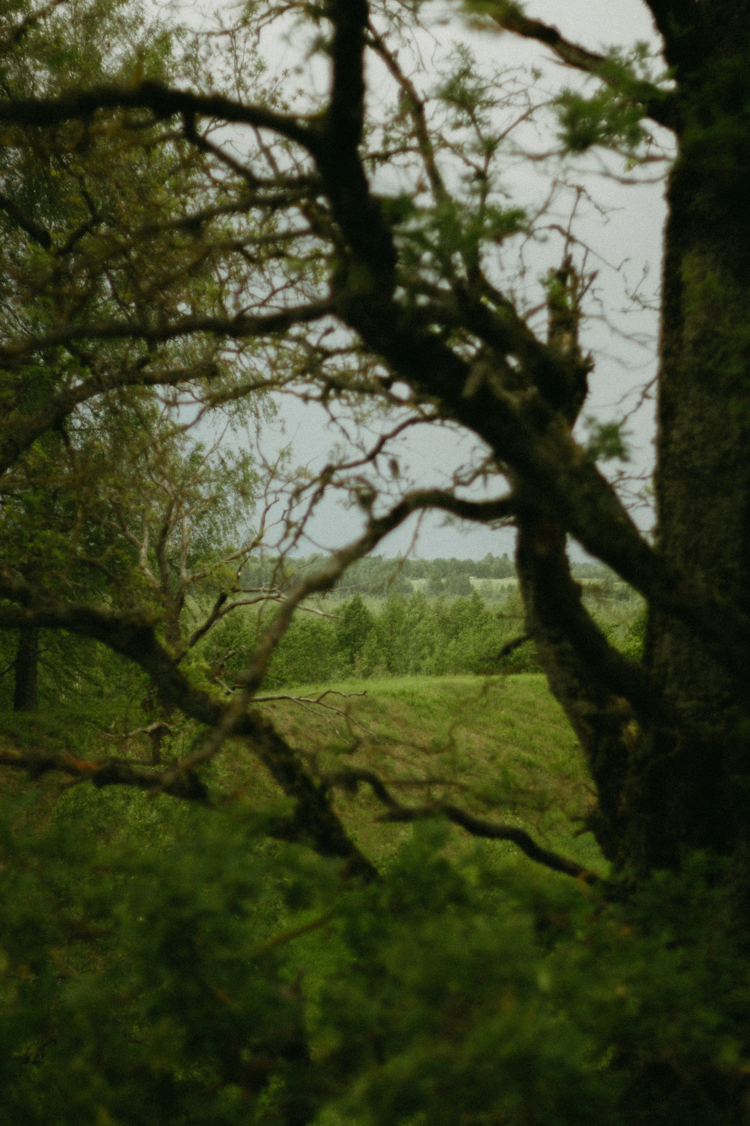 Середина нигде. Варвара Бабёнышева