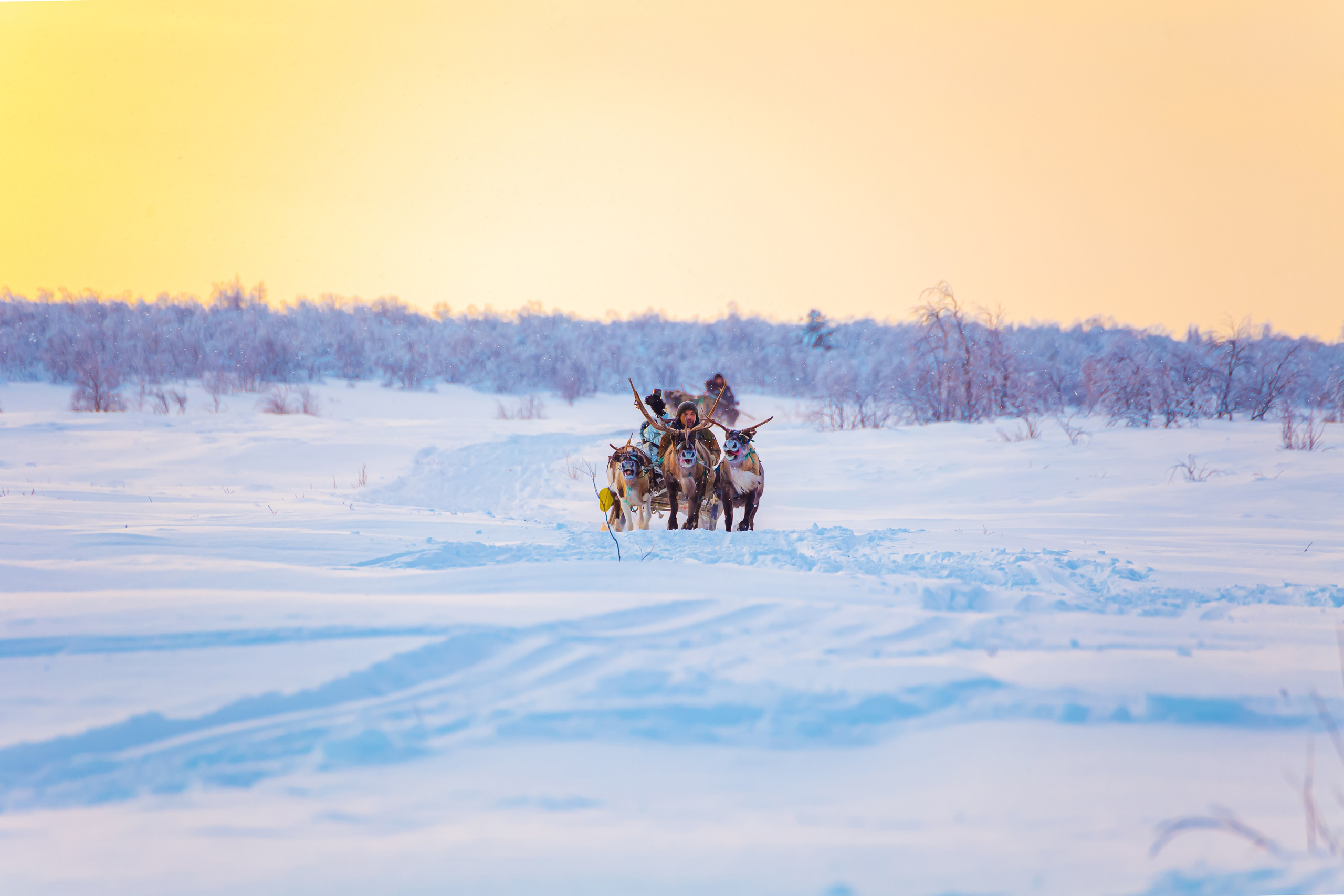 Ненецкий автономный округ. Тревел-фотограф Елизавета Ларионова