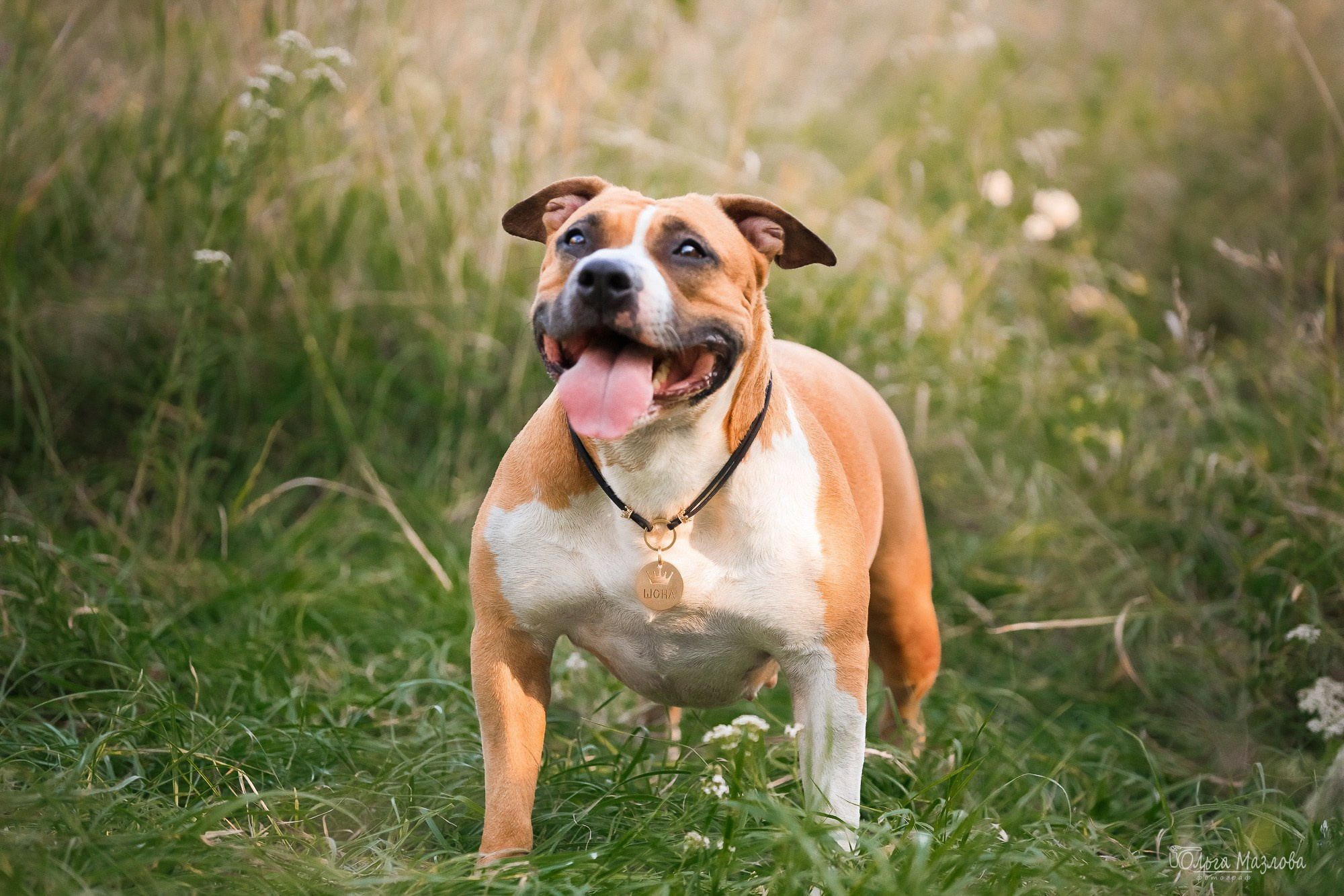 фотограф в Саратове