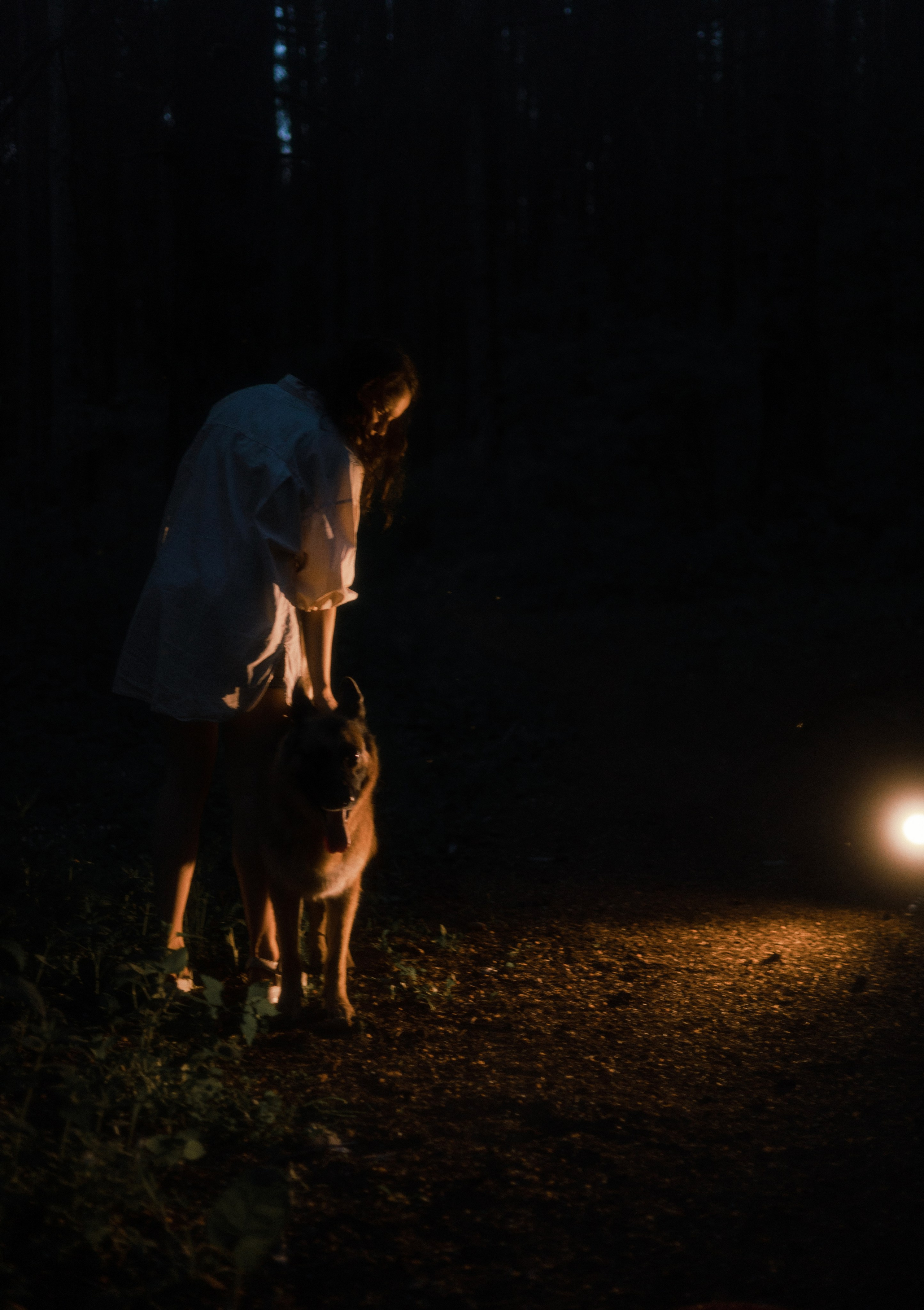 Настя, Шуня, Милка и Тигуан. Фотограф-анималист Богданова Полина