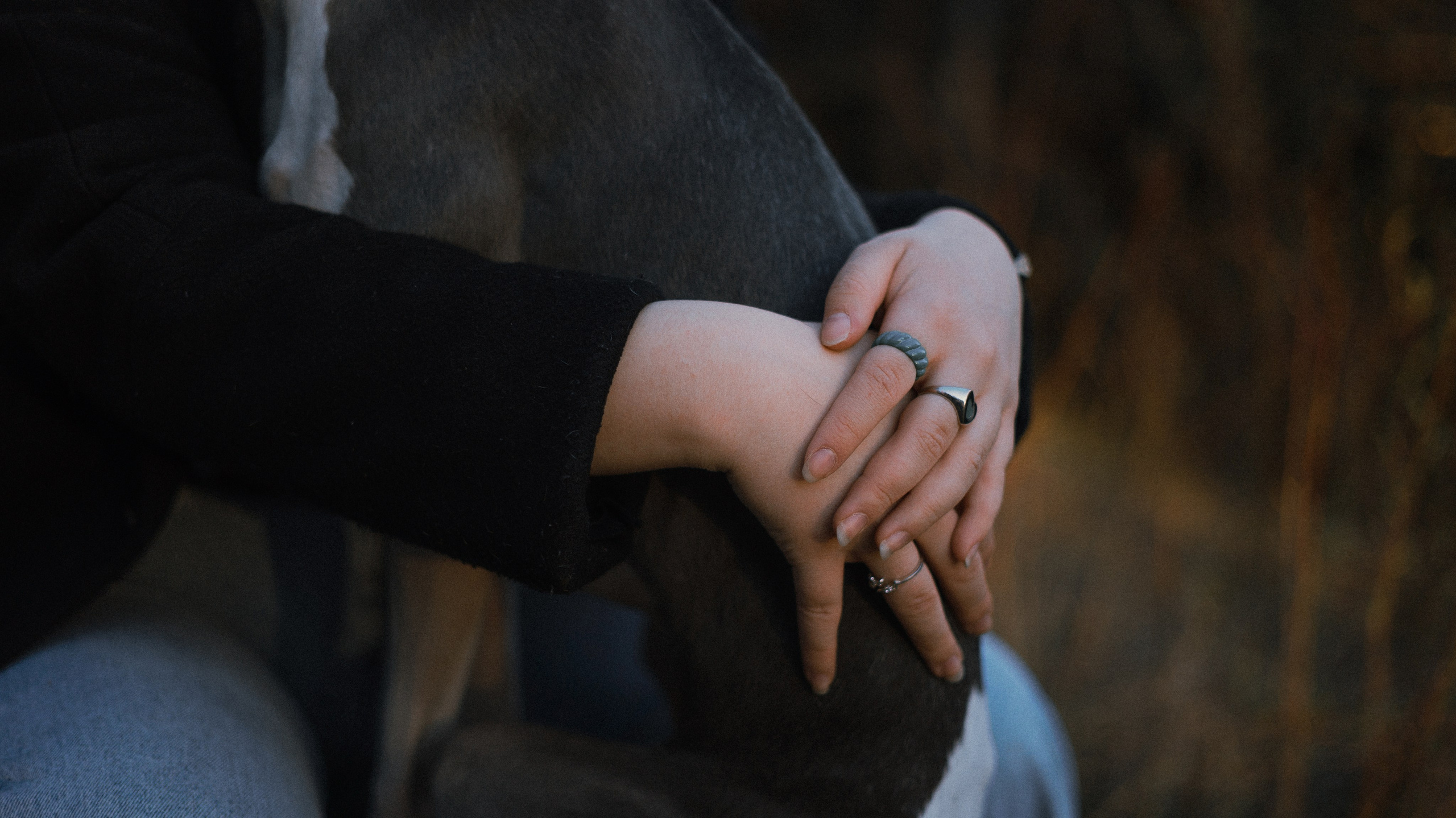 Вика, Джем и Белла. Фотограф-анималист Богданова Полина