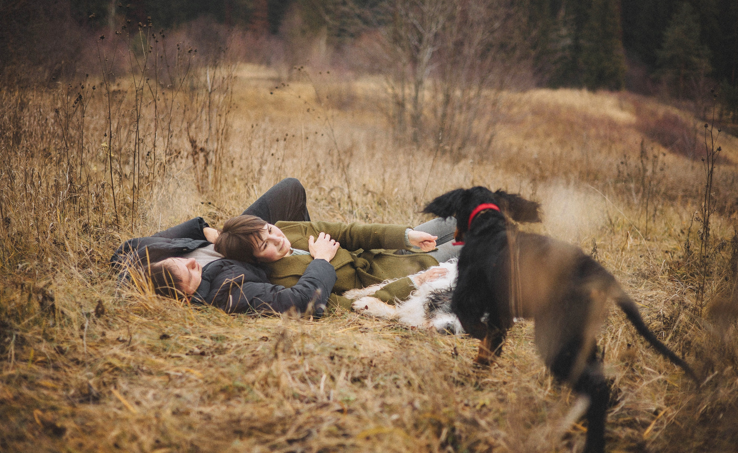Даша, Глеб, Барс и Бруно. Фотограф-анималист Богданова Полина