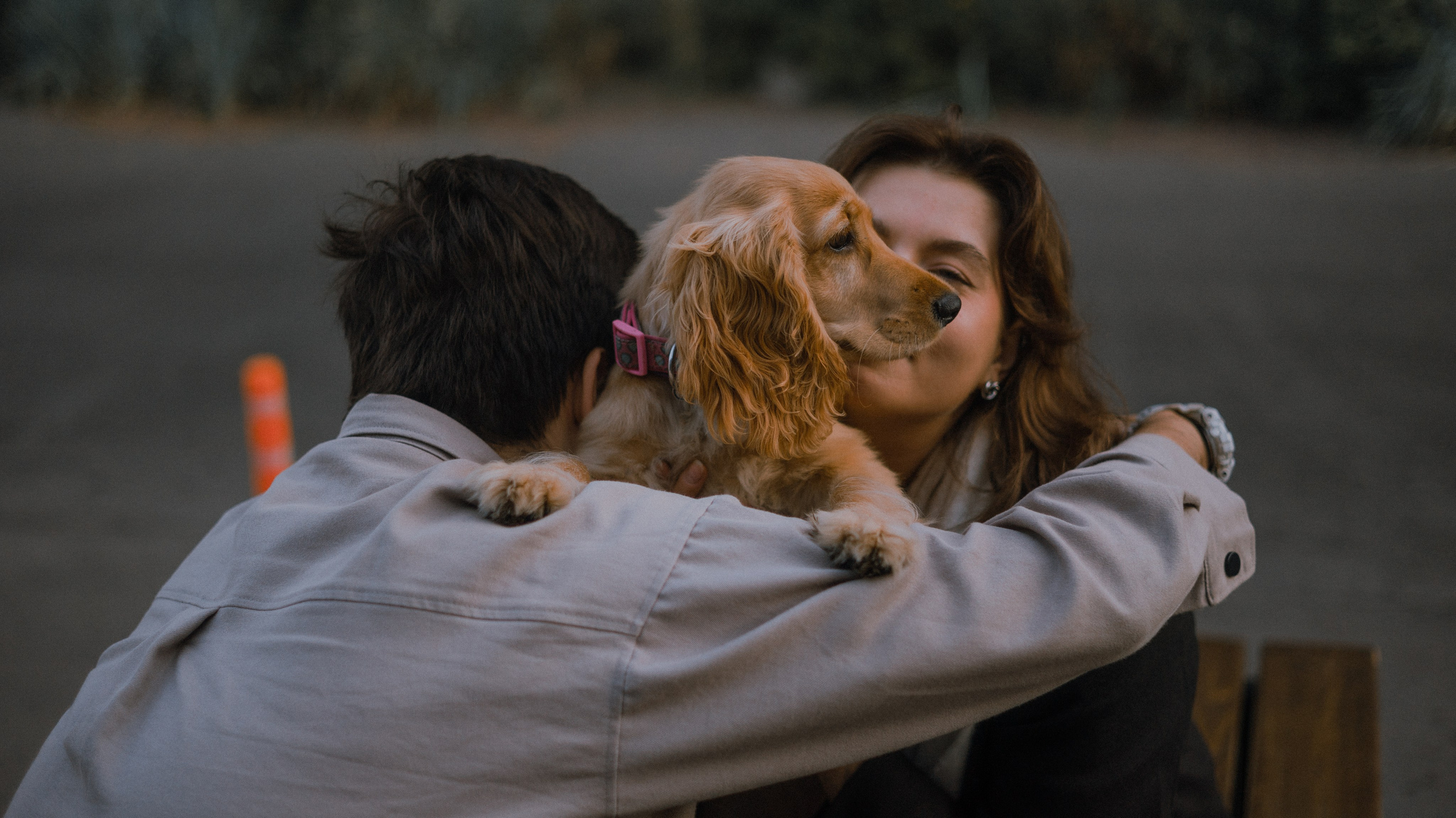 Аня, Андрей и Юта. Фотограф-анималист Богданова Полина