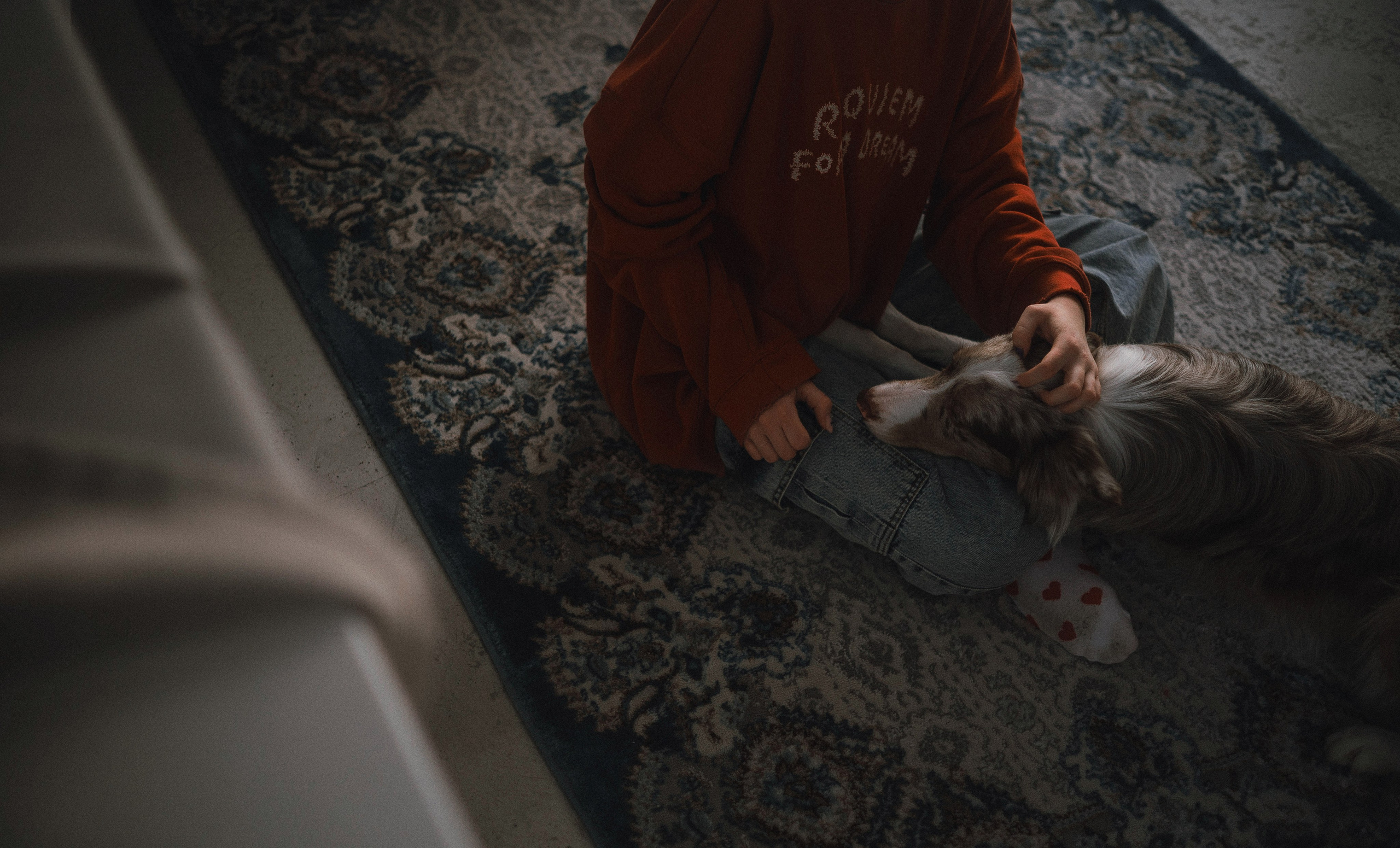 Аня и Дэймон. Фотограф-анималист Богданова Полина