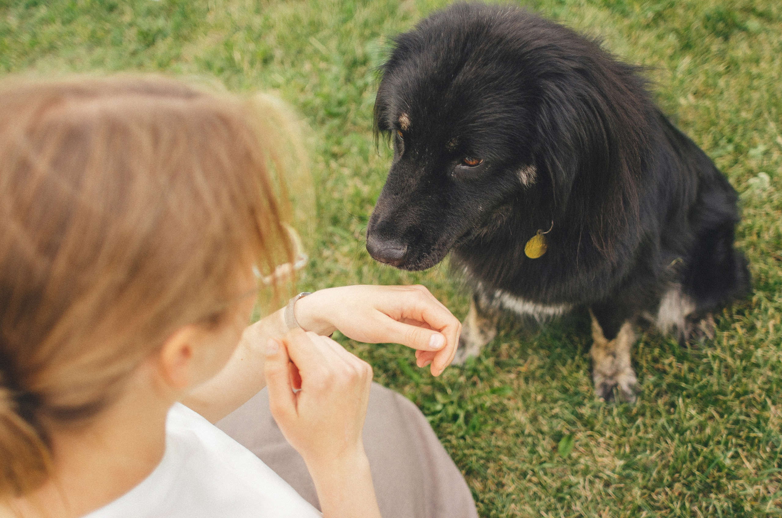 Анна и Марко. Фотограф-анималист Богданова Полина