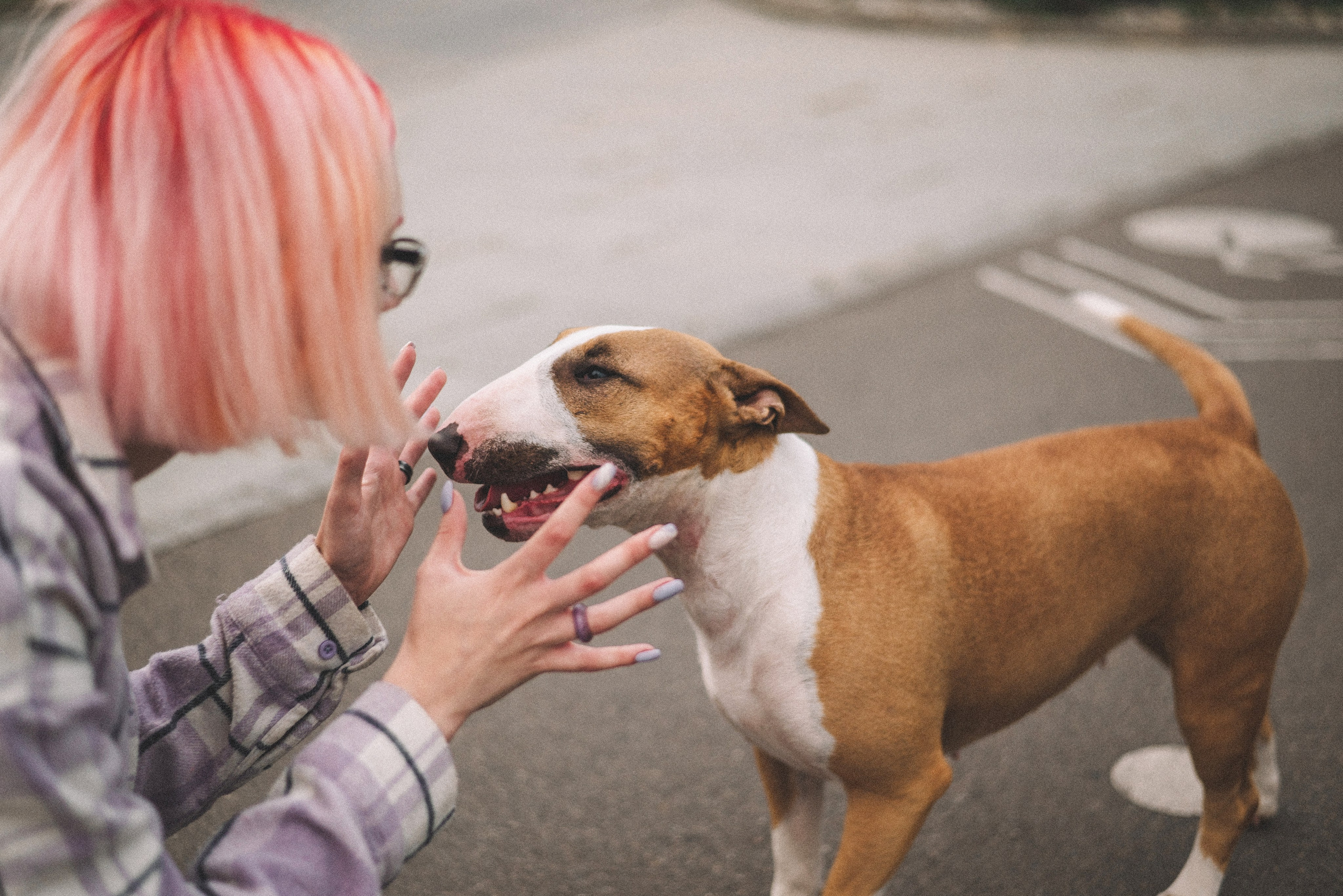 Маша и Рулька. Фотограф-анималист Богданова Полина