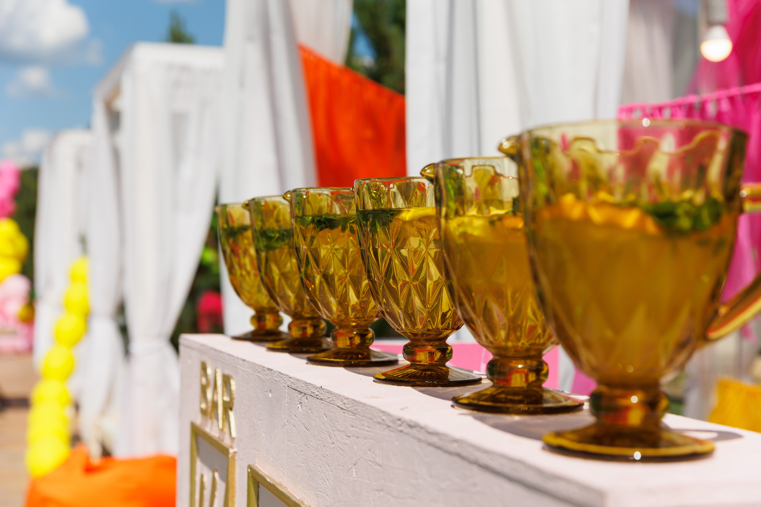 Летняя вечеринка декораторов ШИУ. Фотограф Новосибирск — Наталья Гресь