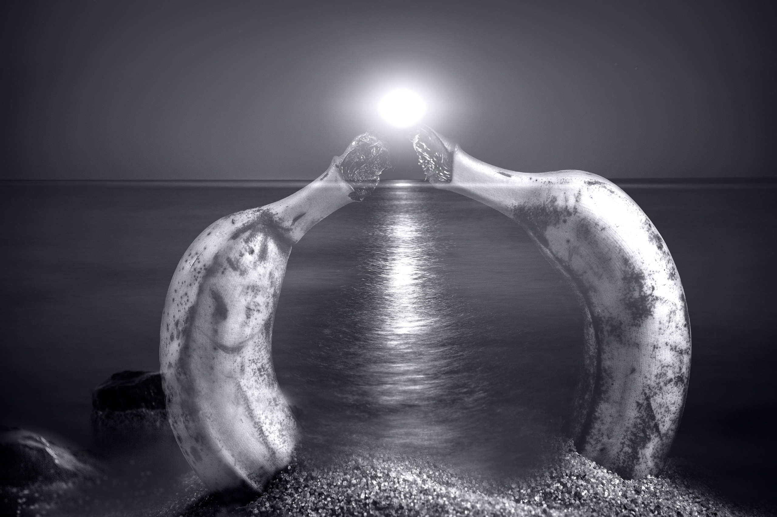 Банановая галлерея. Медиапродюсер, фотограф в Минеральных Водах —Виктор Холодов