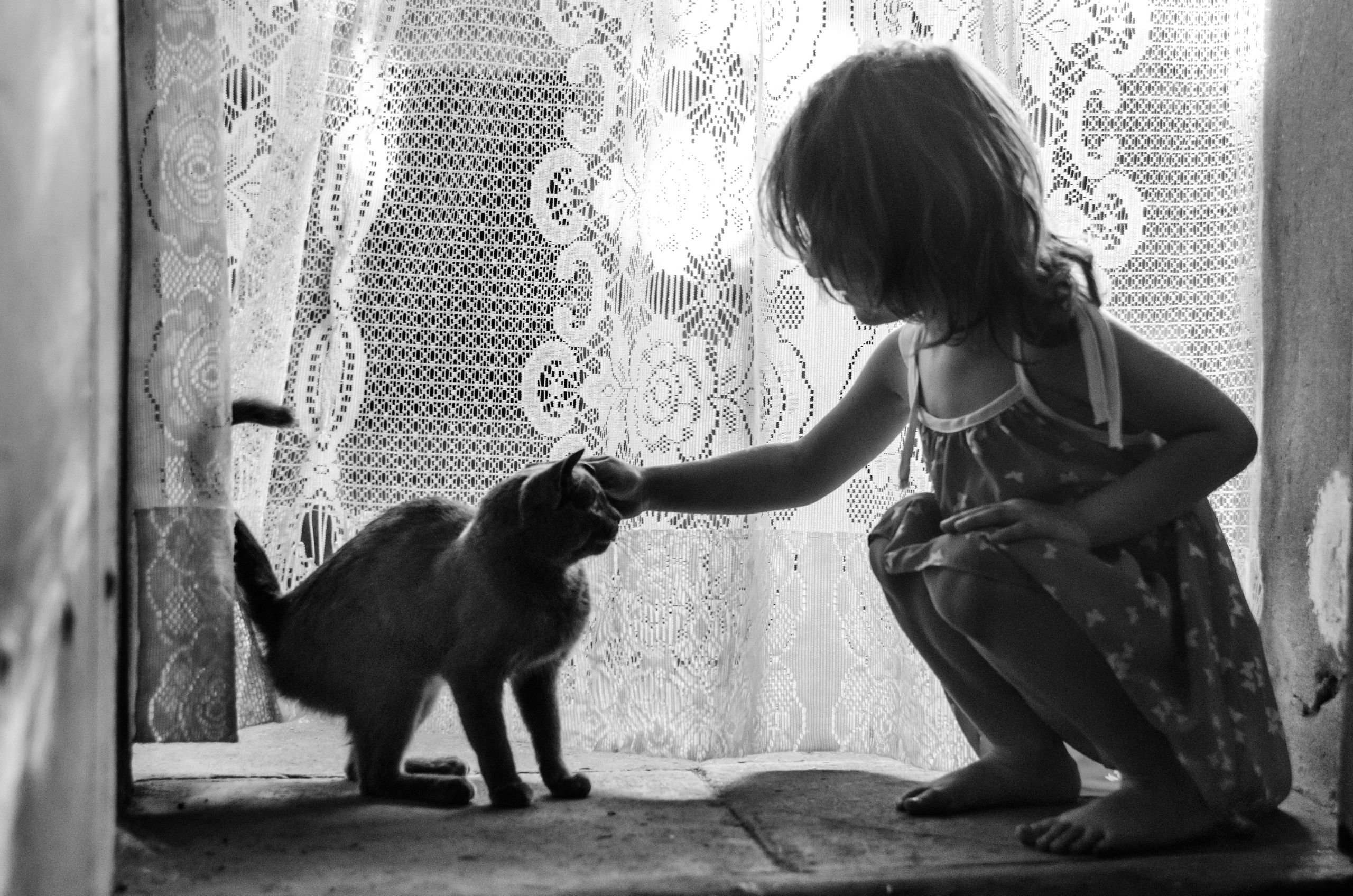 Серии «Кошка». Мультижанровый фотограф Дарья Strebog