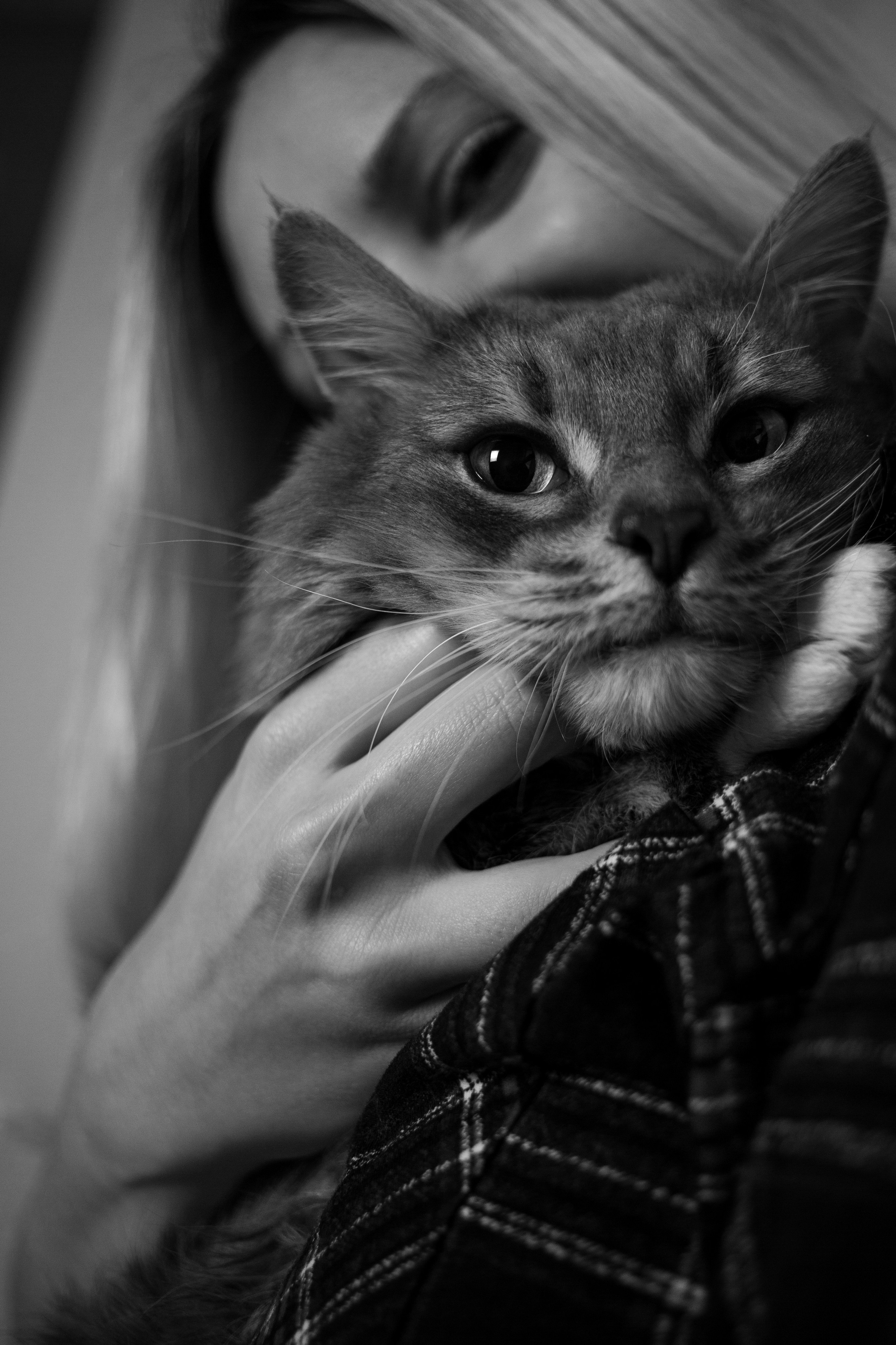 Юля (домашняя съемка). Женский портретный фотограф в Москве Анастасия Карпова