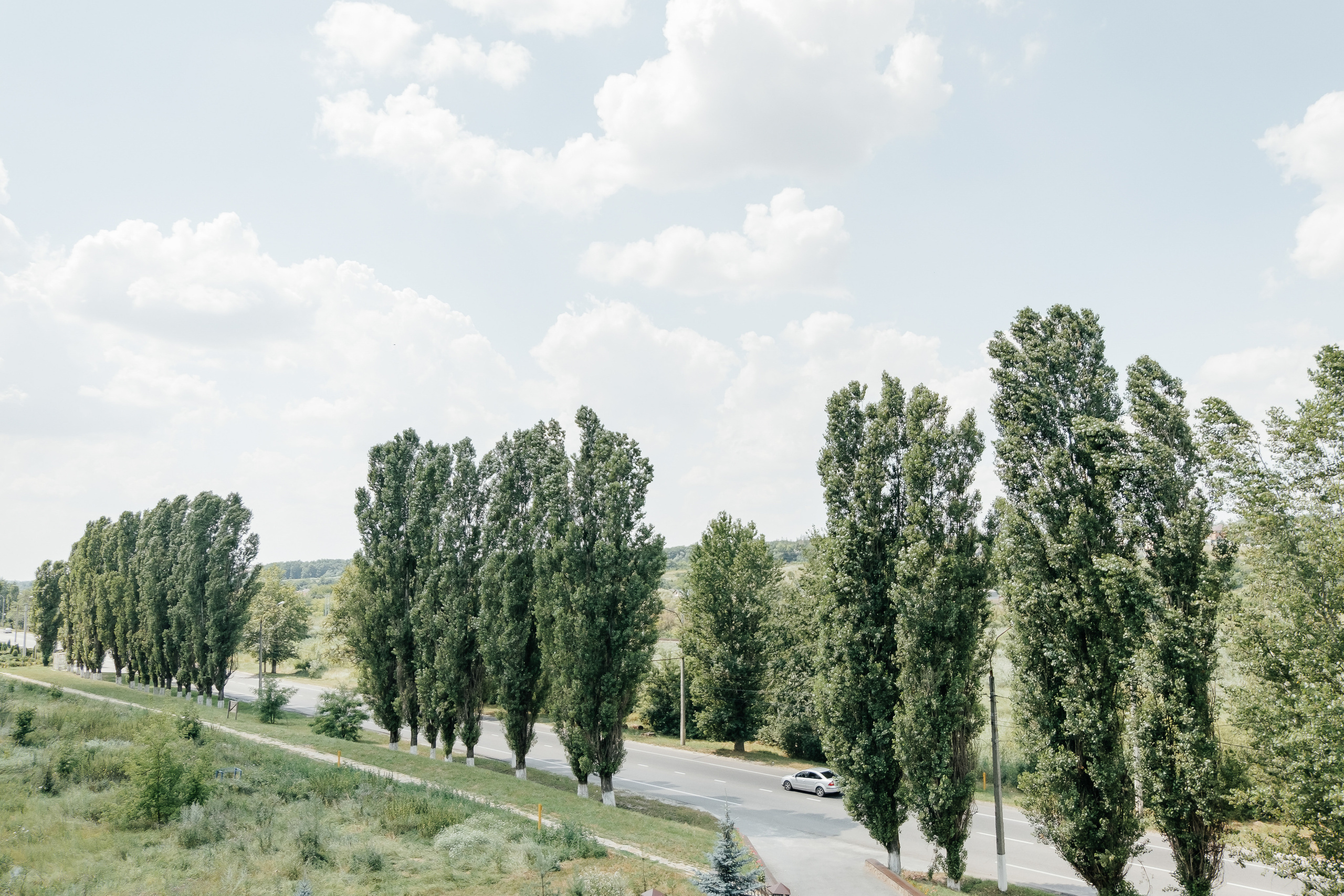 Марина и Сергей. Свадебный и портретный фотограф в Белгороде Павел Яновский