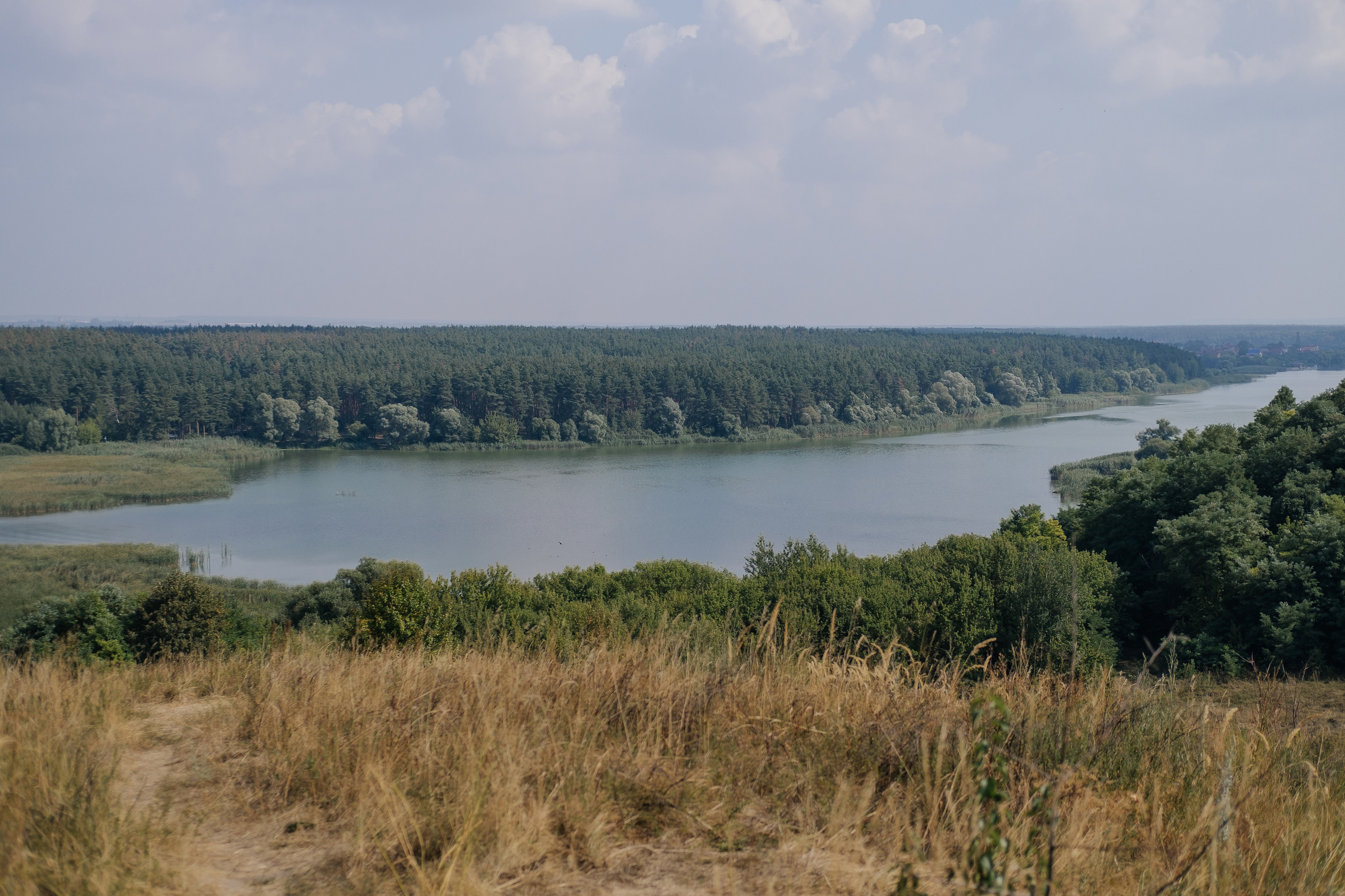 Анастасия и Вячеслав. Свадебный и портретный фотограф в Белгороде Павел Яновский
