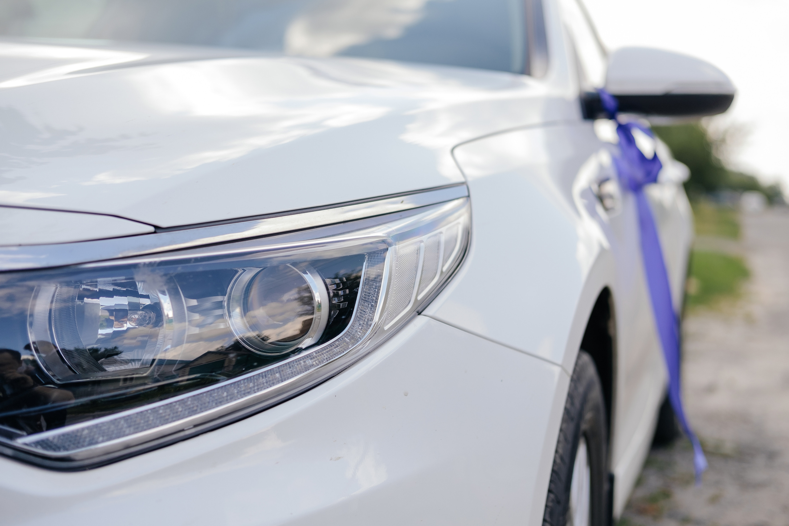 Иван и Яна. Свадебный и портретный фотограф в Белгороде Павел Яновский