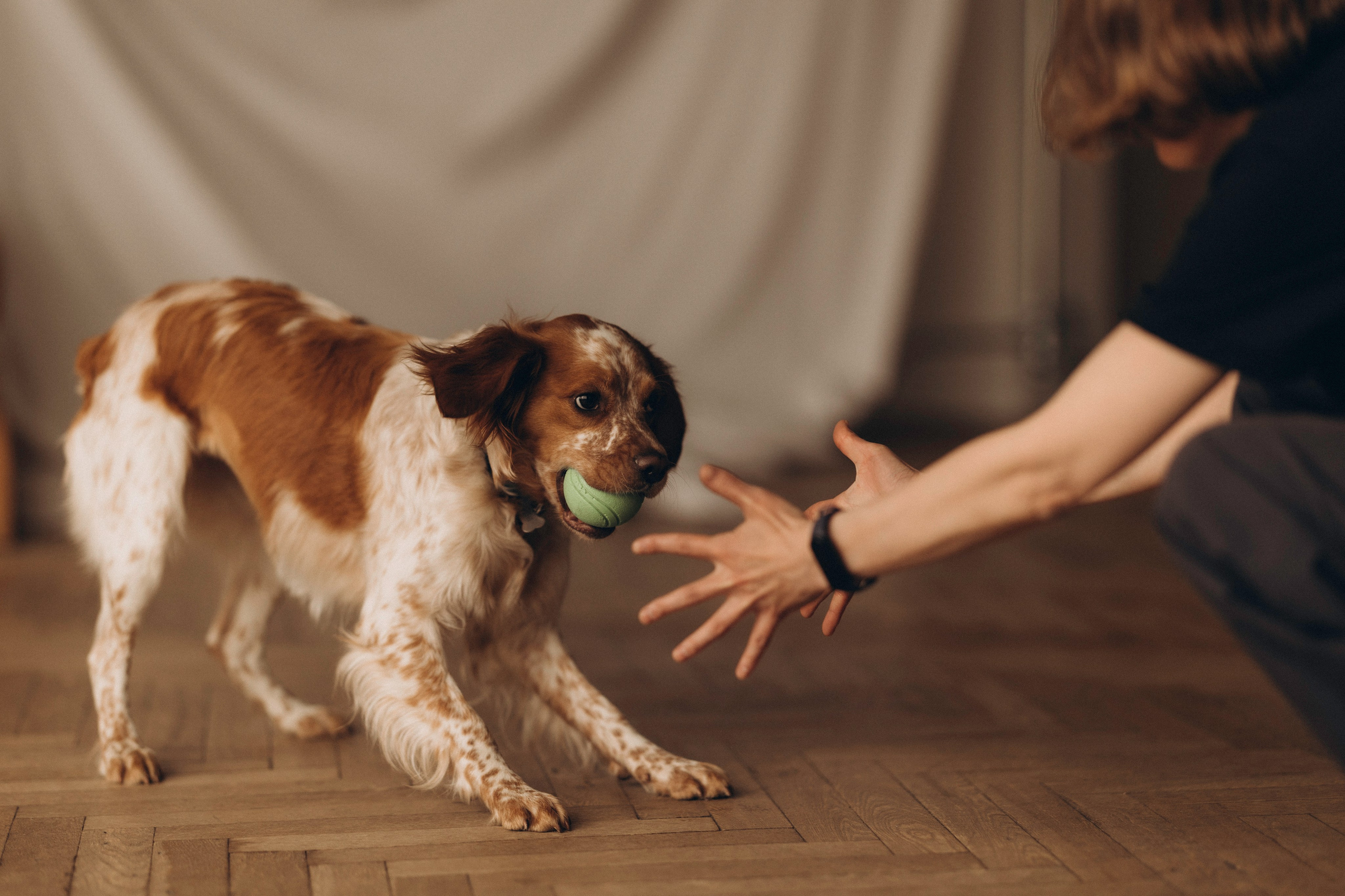 Настя и Уля. Татьяна Афонина | Фотограф
