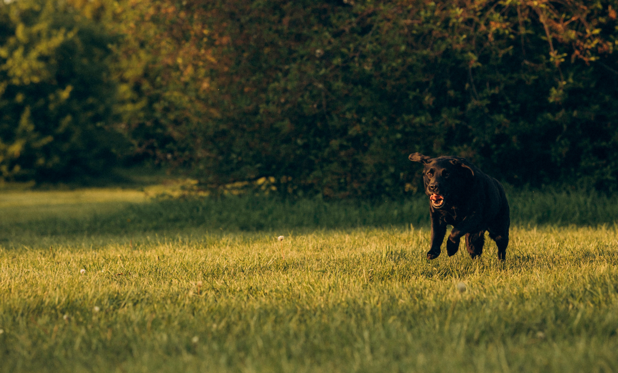 Юлия и Барселона. Татьяна Афонина | Фотограф