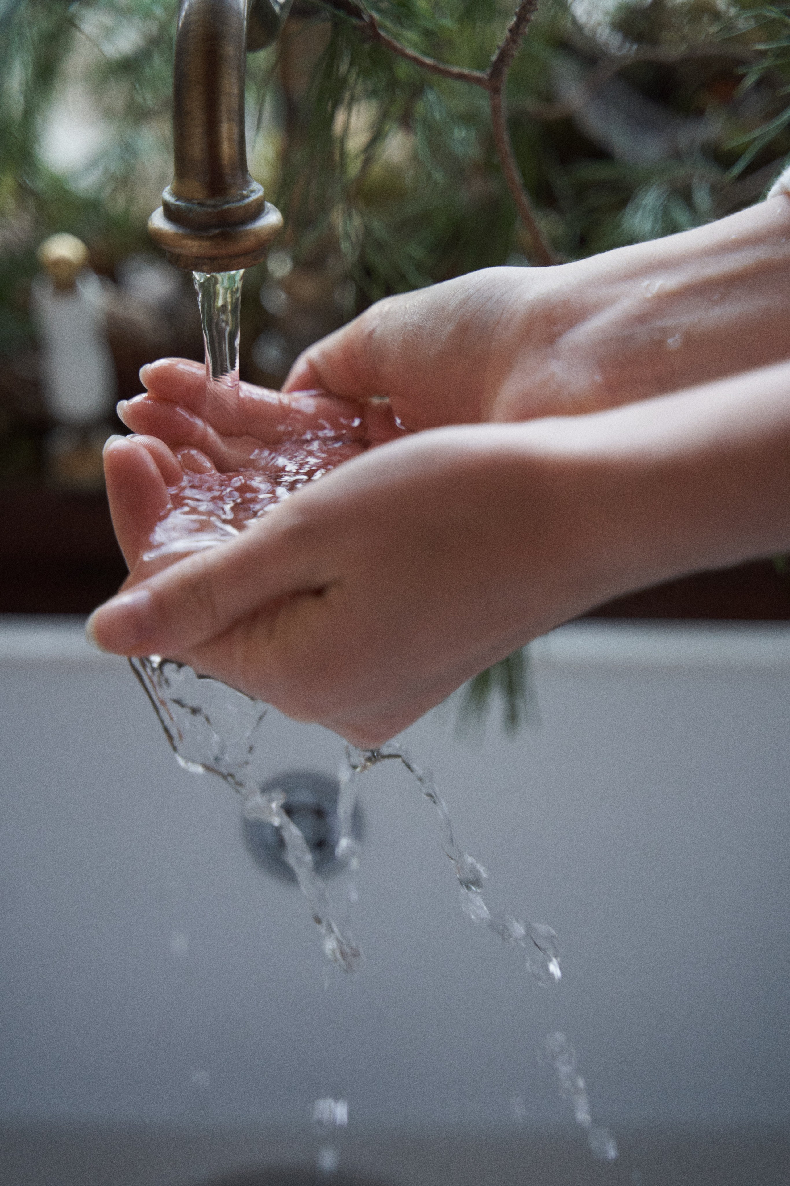 Нина & Дима. Оформление свадеб, декор свадеб Вера Маркова, Москва