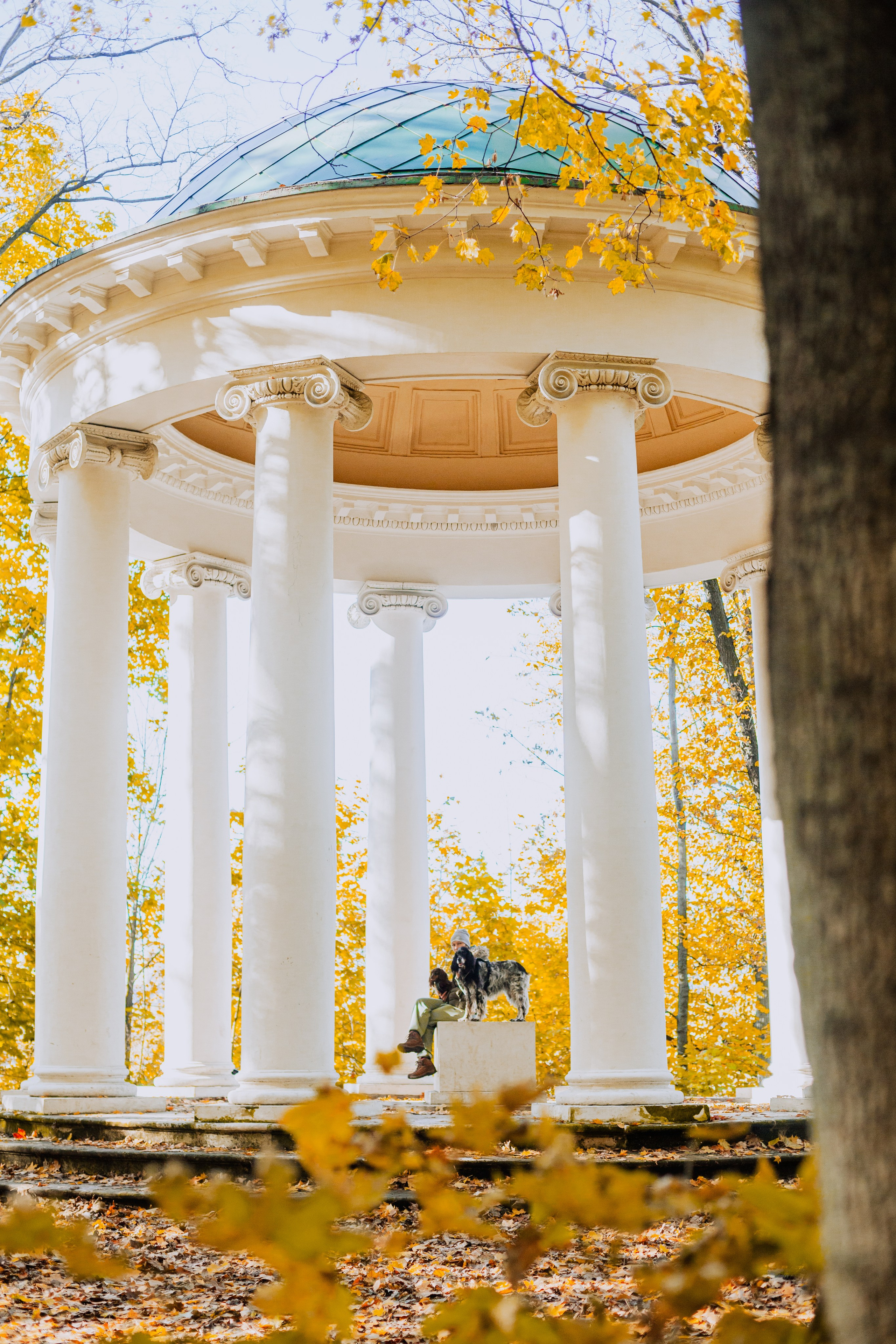 Света, Хайди, Богдана. Фотограф-анималист Татьяна Степанова