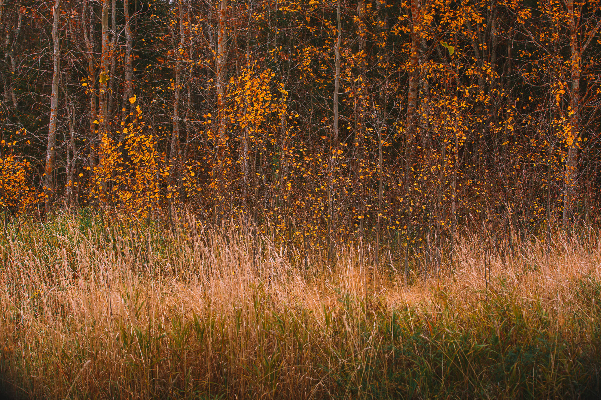 Ненокса. Фотограф — путешественник Светлана Романовская