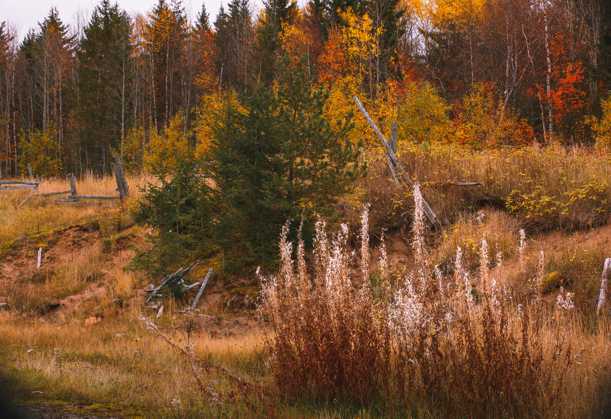 Ненокса. Фотограф — путешественник Светлана Романовская