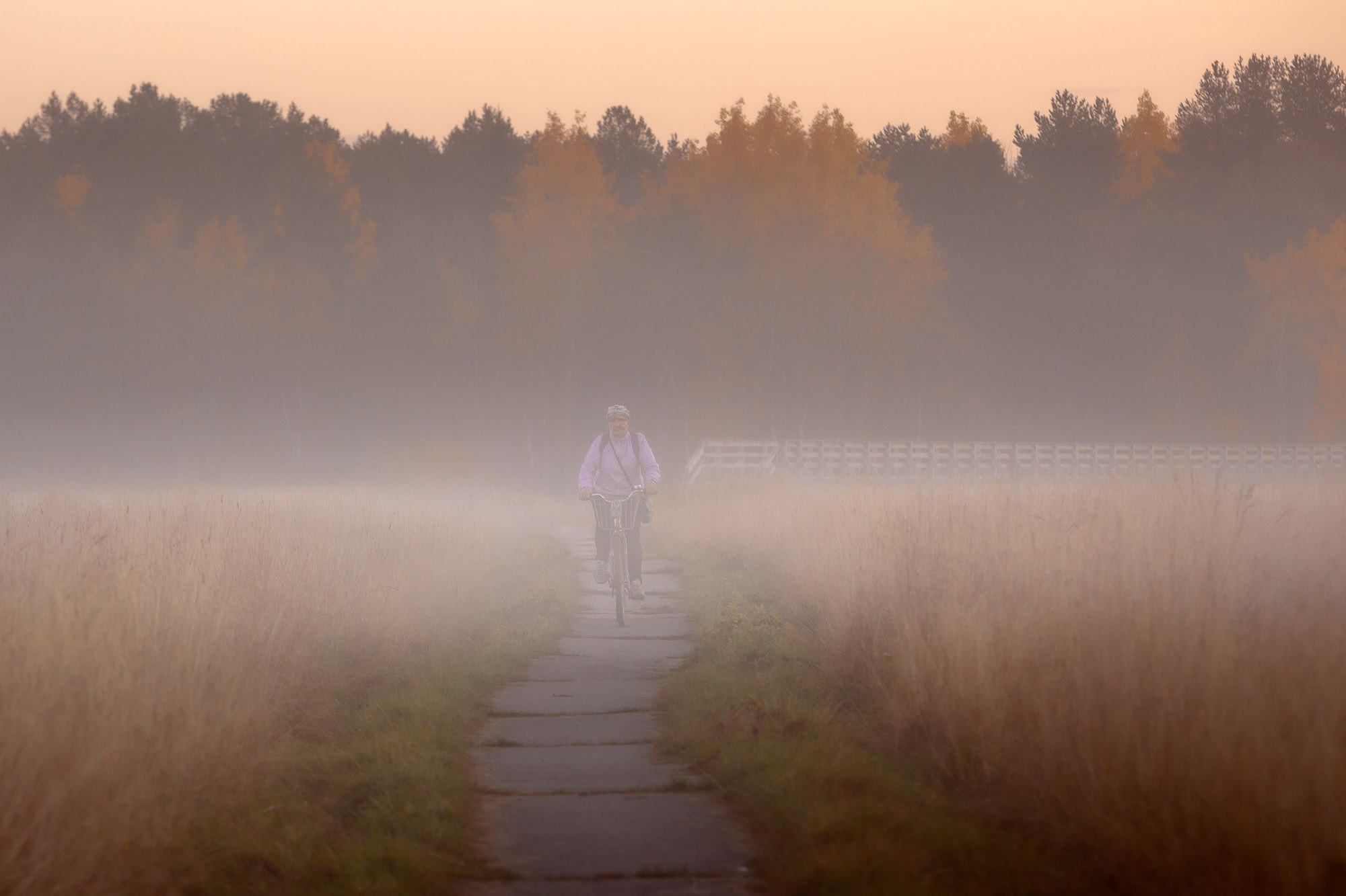 Велосипедист на бетонной дорожке выезжает из тумана. 
