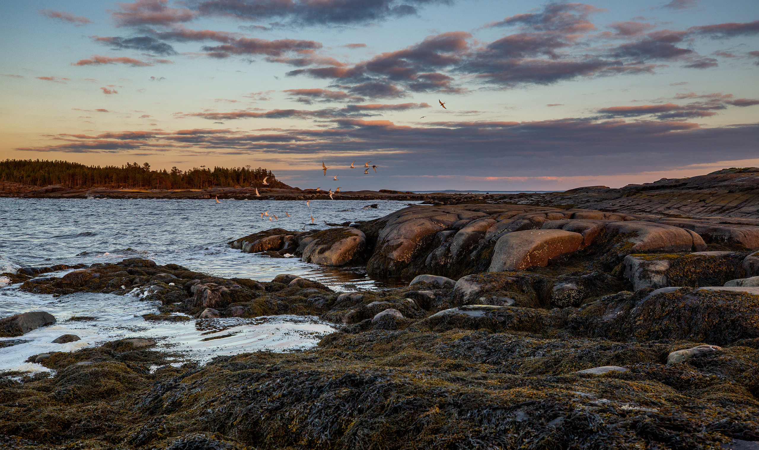 Кий остров. Фотограф — путешественник Светлана Романовская